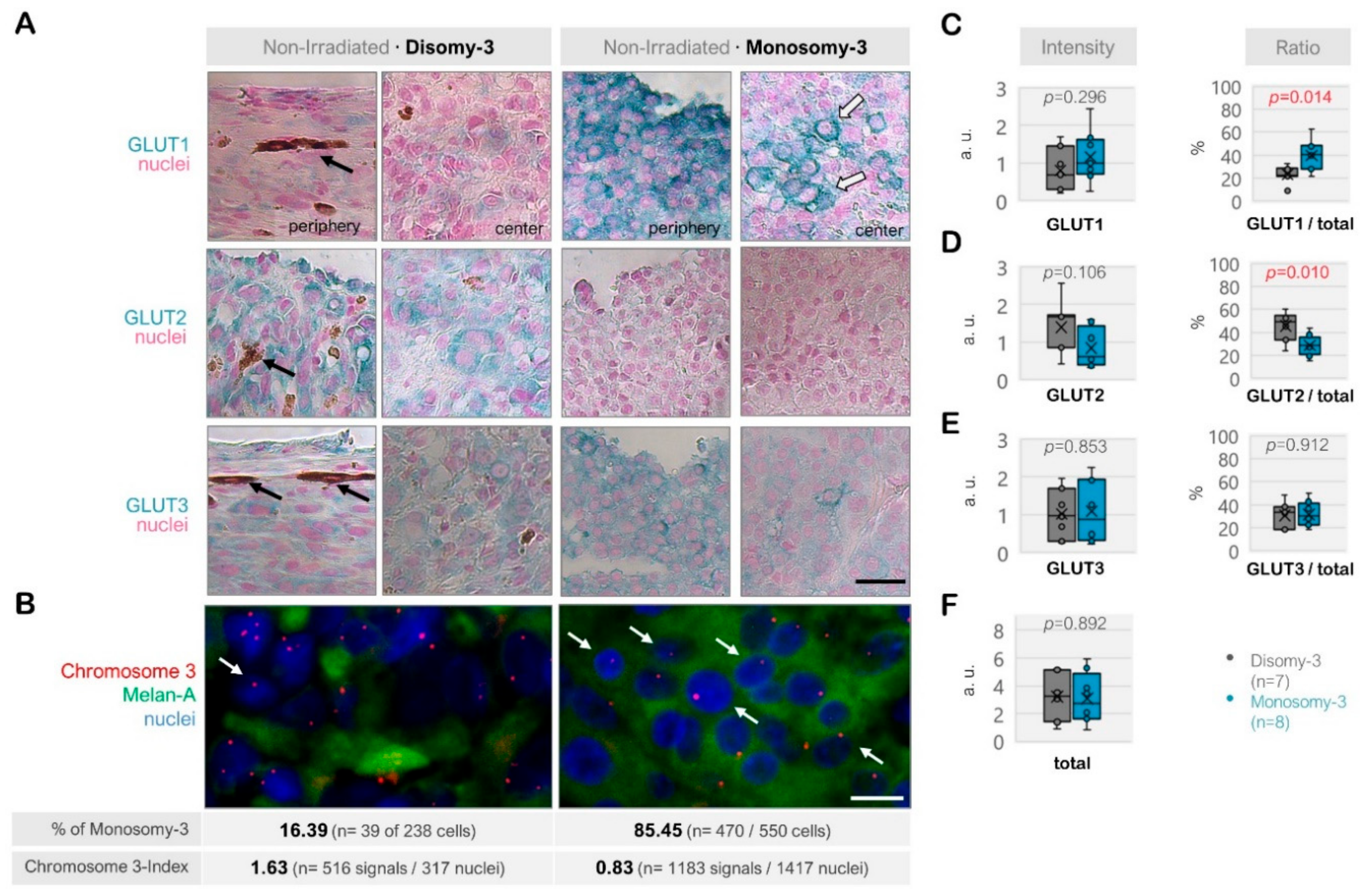 Ijms 21 09345 g002 Ijms 21 09345 g002
