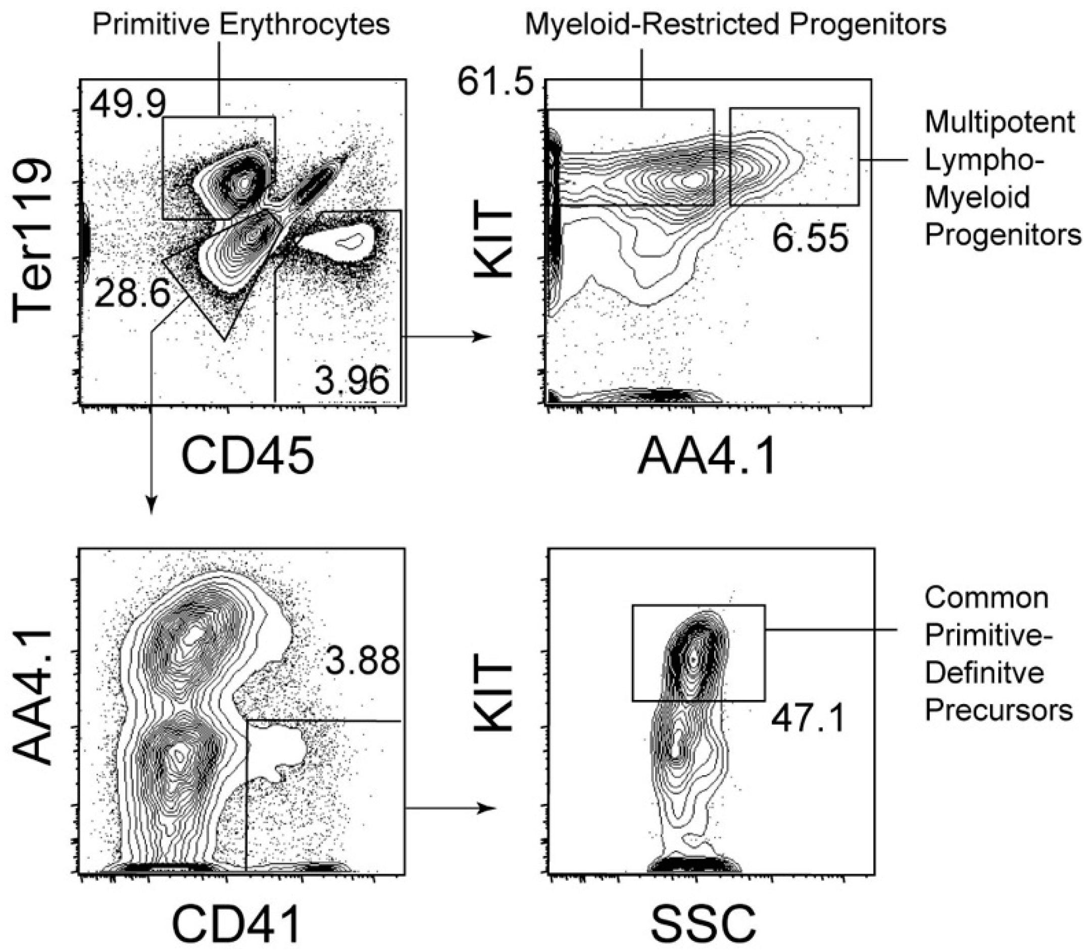 Ijms 21 09346 g001 Ijms 21 09346 g001