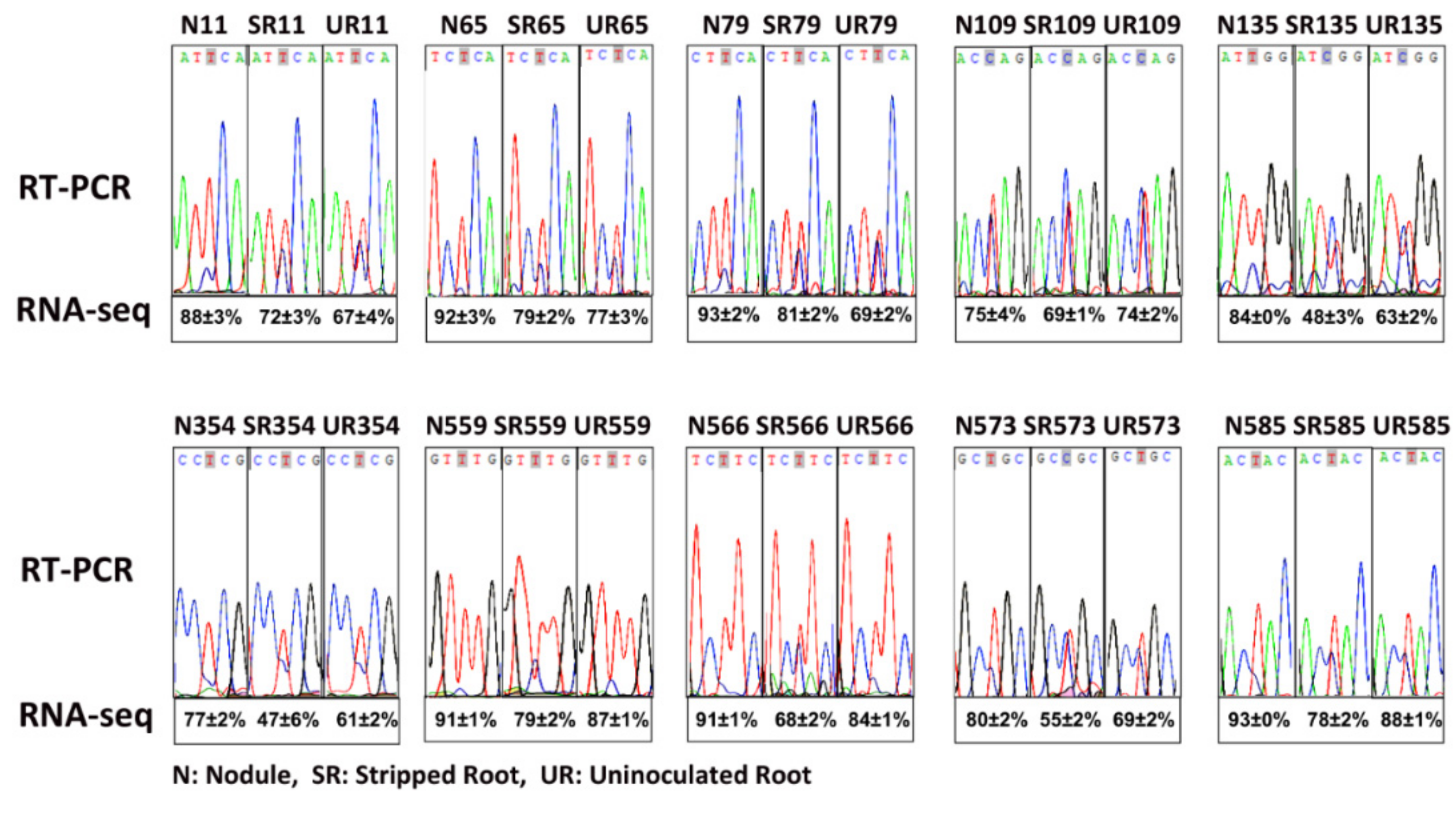 Ijms 21 09378 g001 Ijms 21 09378 g001