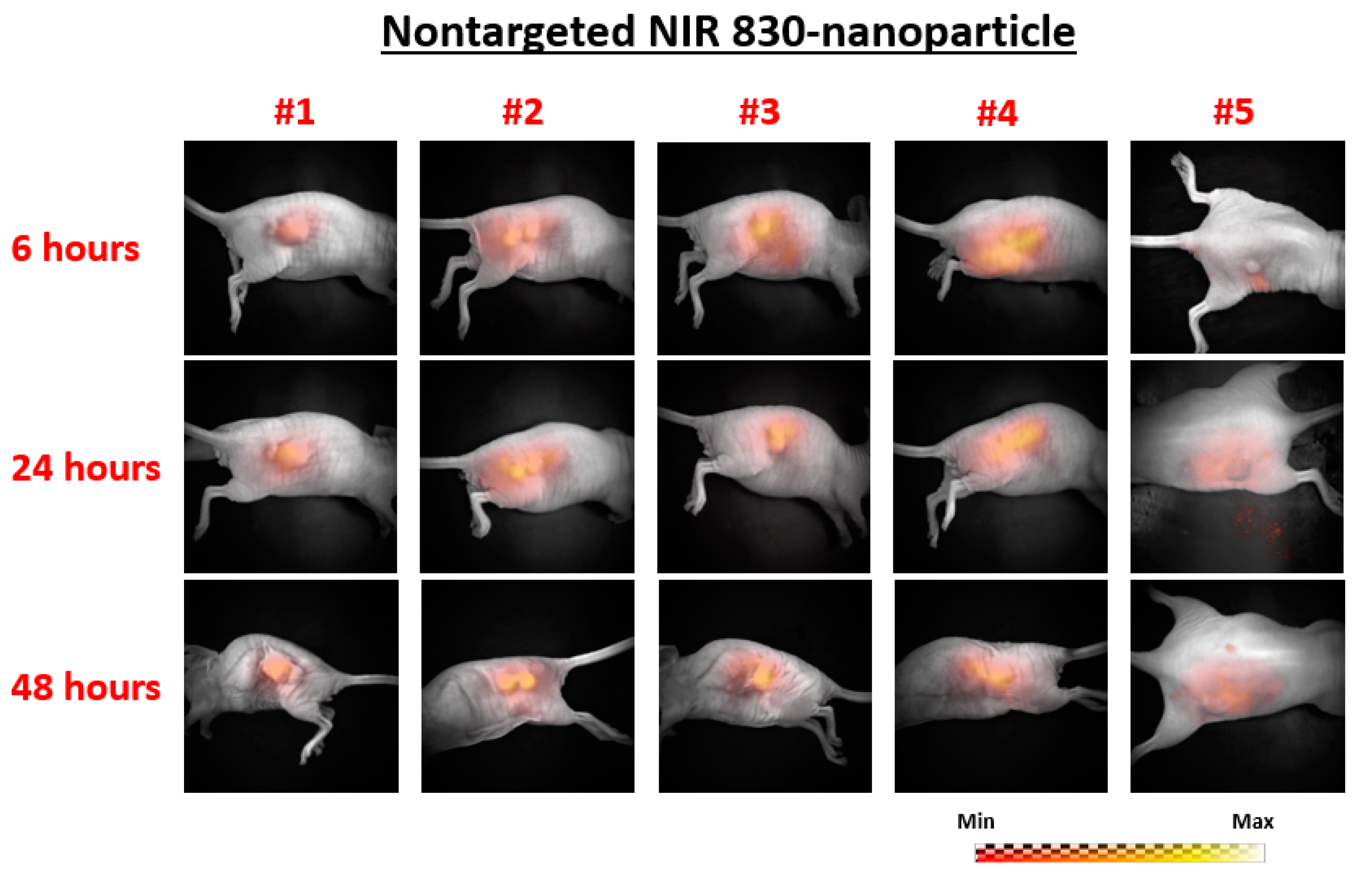 Ijms 21 09389 g001 Ijms 21 09389 g001
