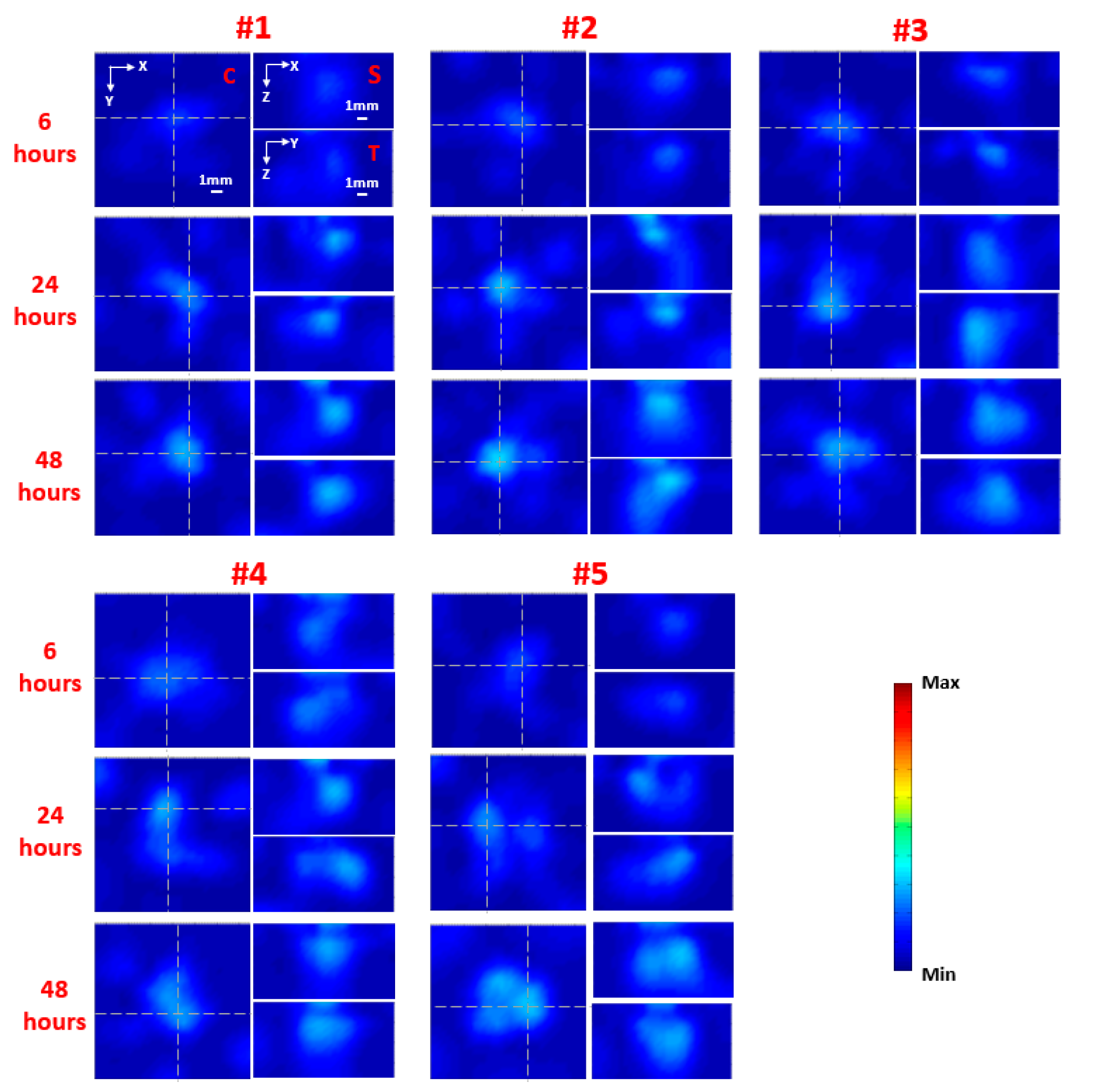 Ijms 21 09389 g003 Ijms 21 09389 g003