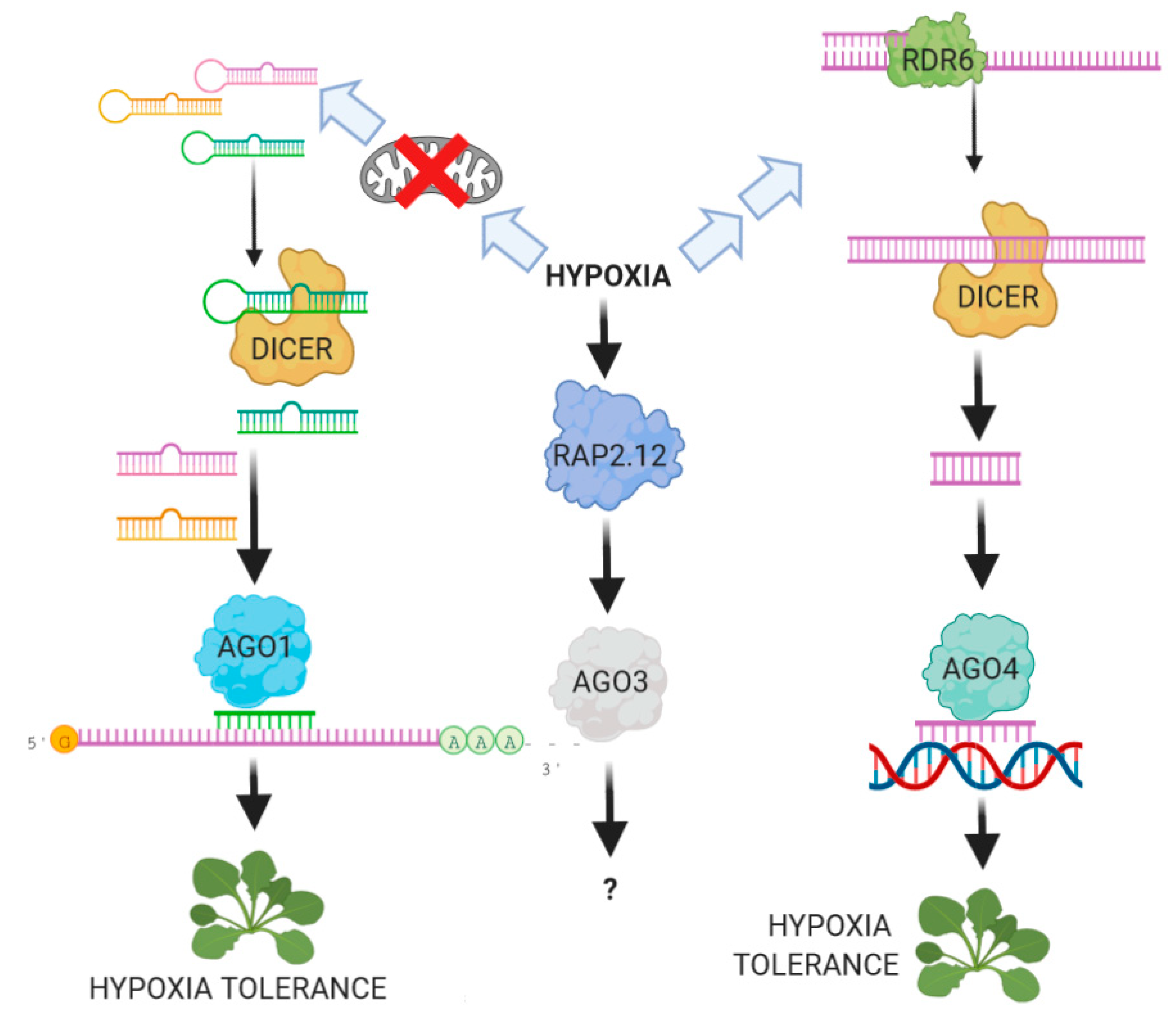 Ijms 21 09394 g001 Ijms 21 09394 g001