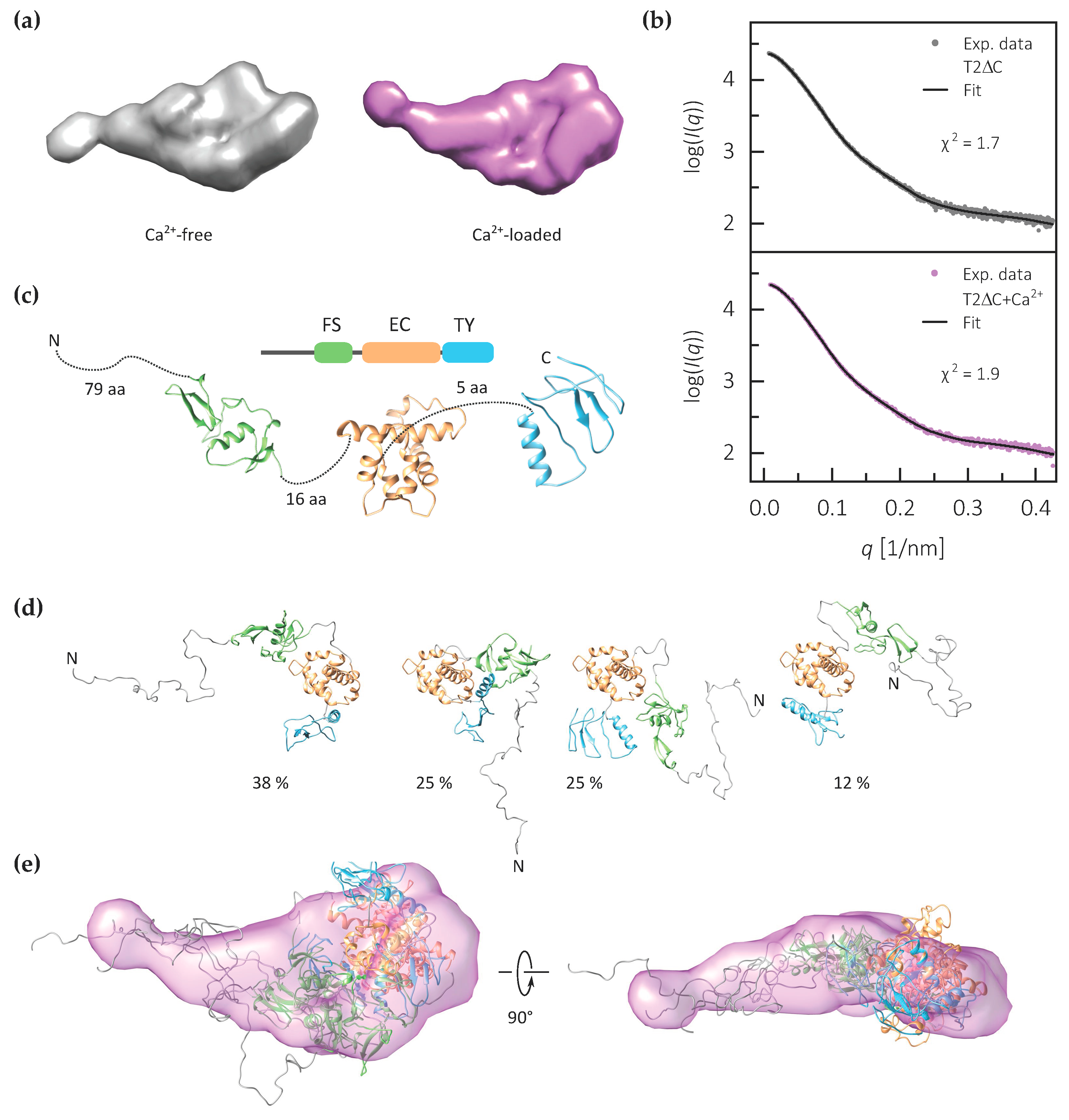 Ijms 21 09413 g004 Ijms 21 09413 g004