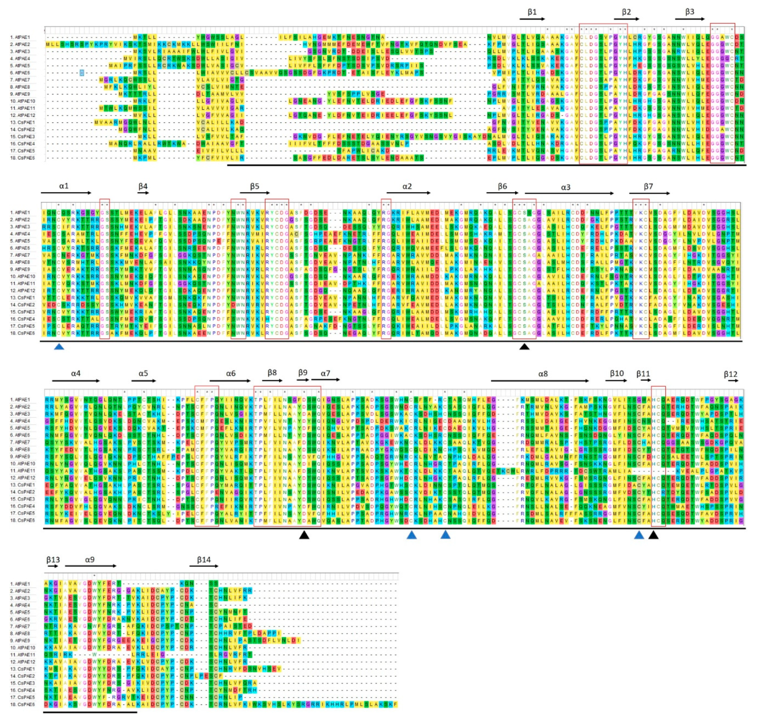 Ijms 21 09429 g002 Ijms 21 09429 g002