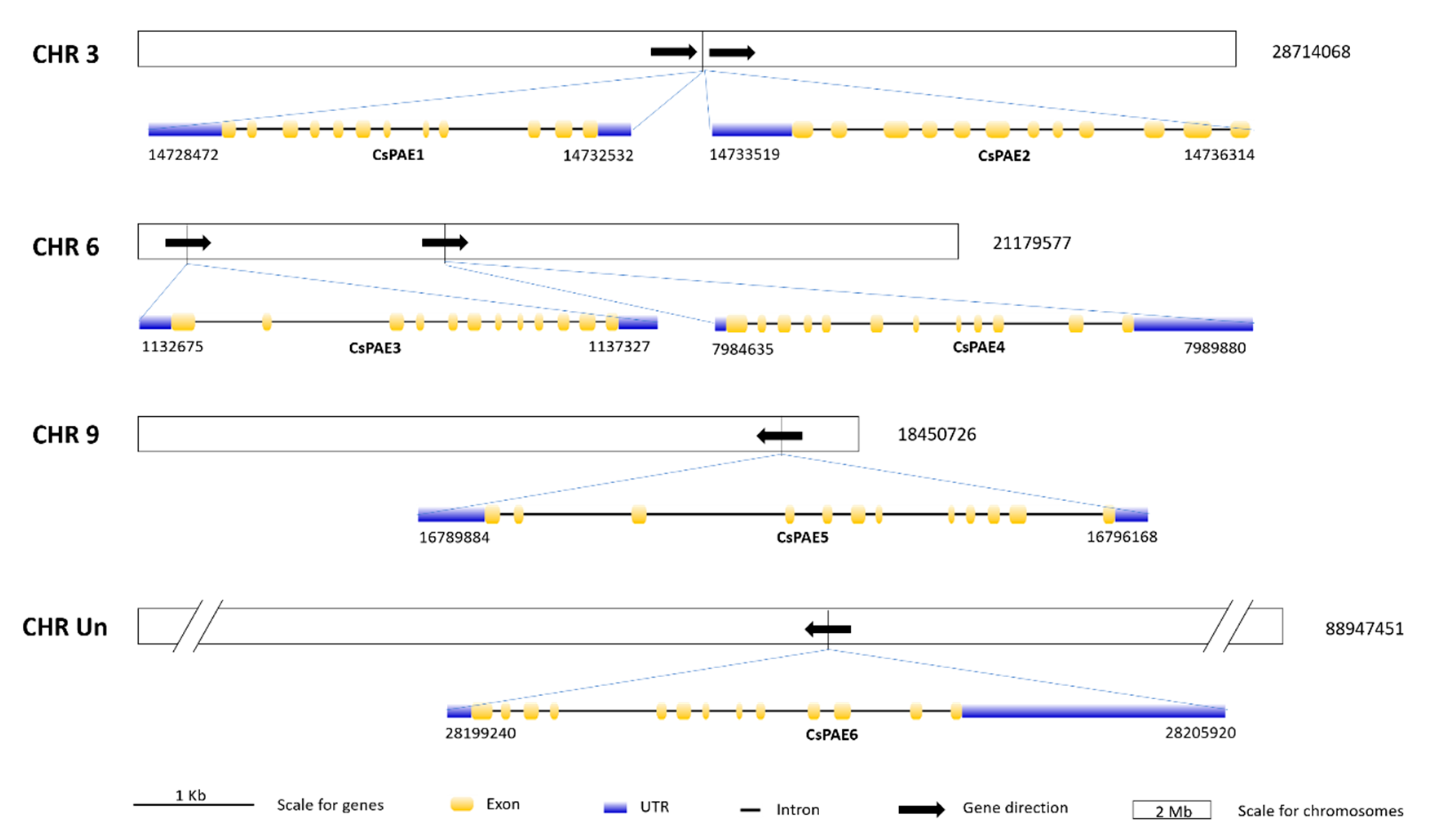 Ijms 21 09429 g003 Ijms 21 09429 g003