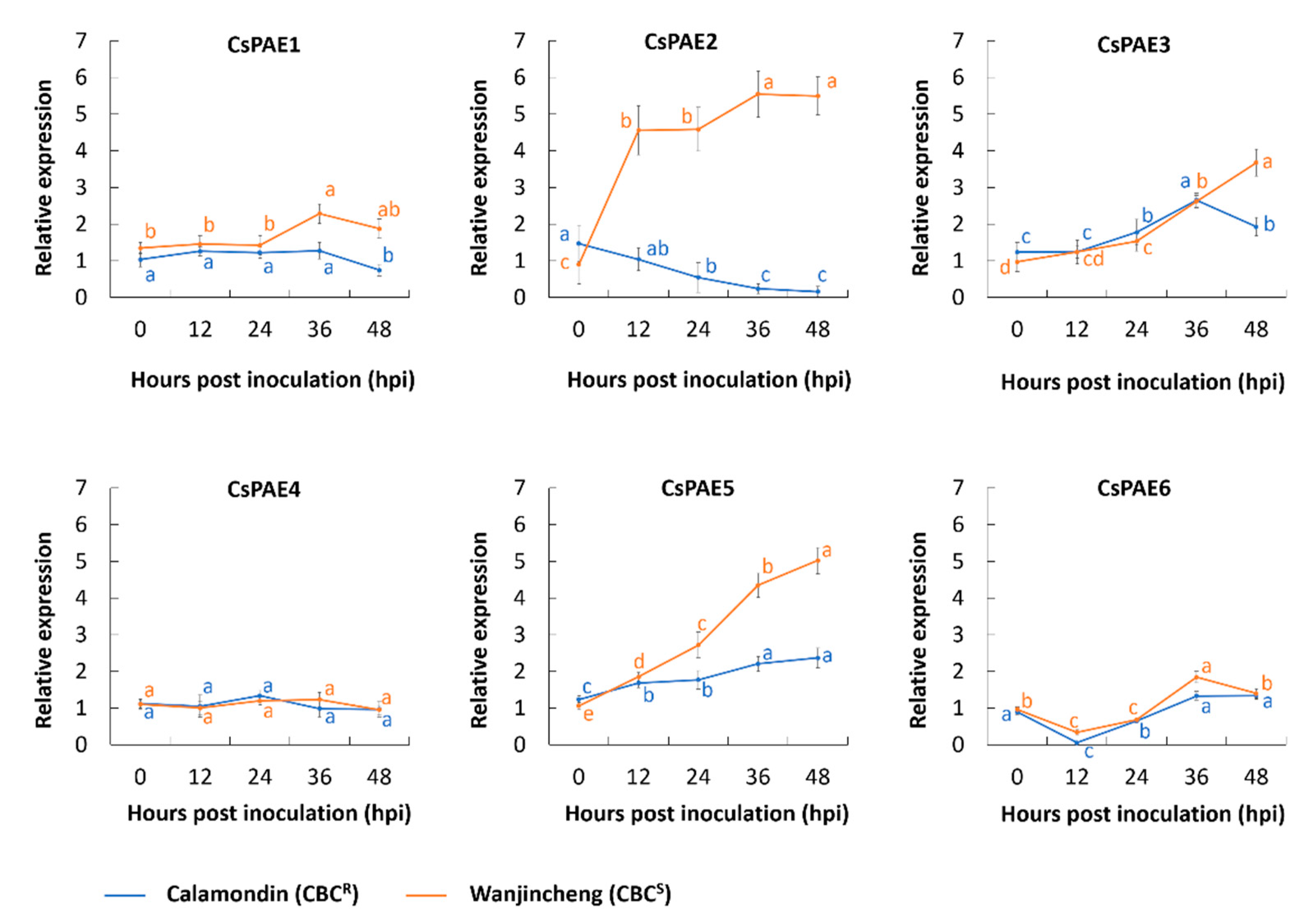 Ijms 21 09429 g004 Ijms 21 09429 g004