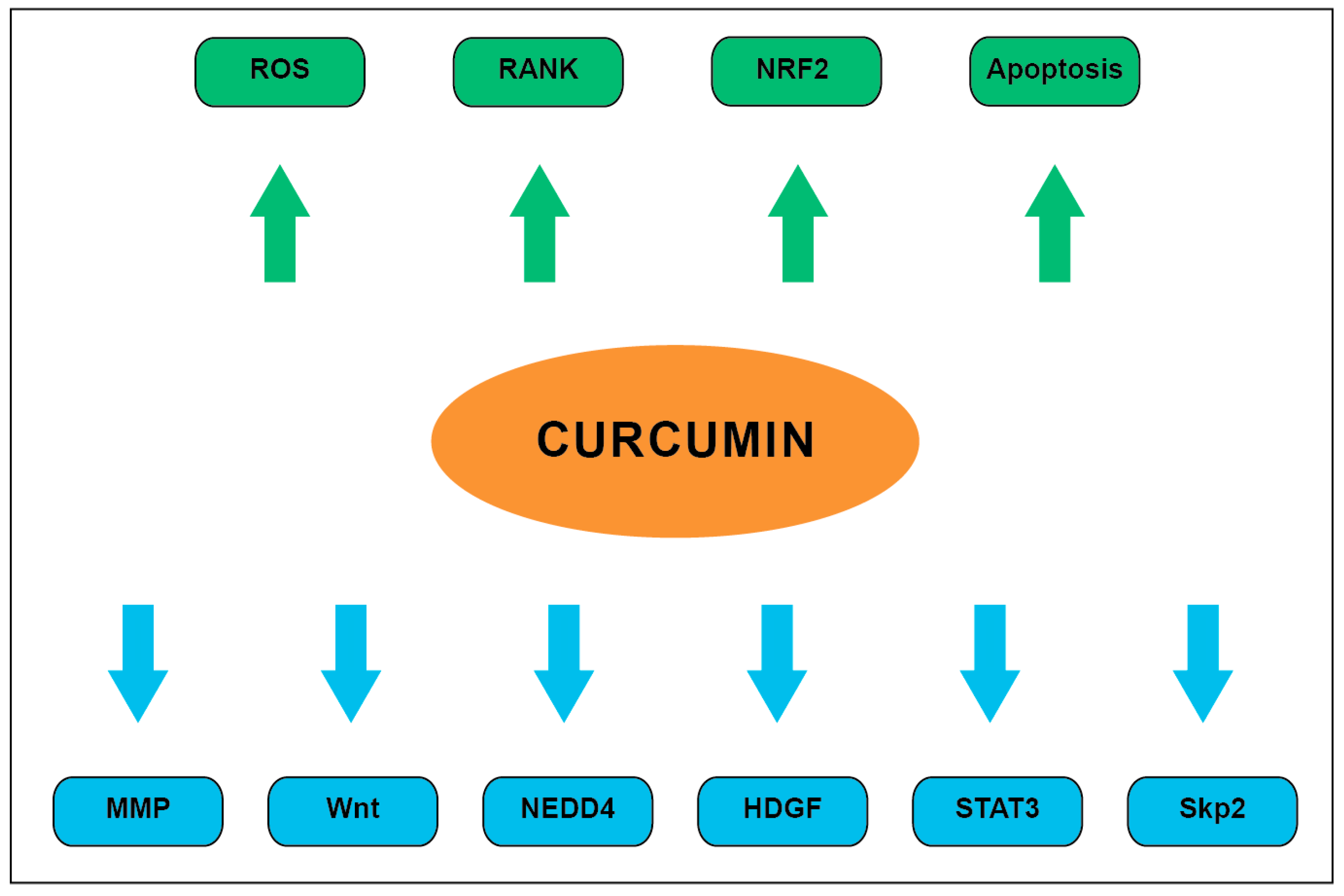 Ijms 21 09435 g003 Ijms 21 09435 g003