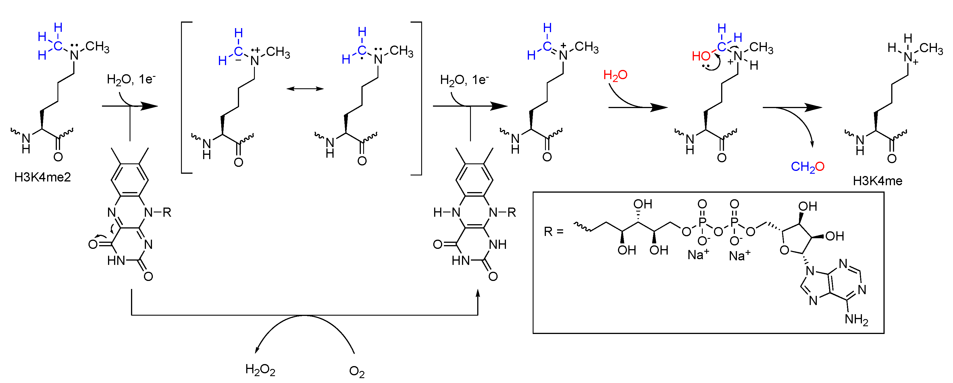 Ijms 21 09451 g011 Ijms 21 09451 g011