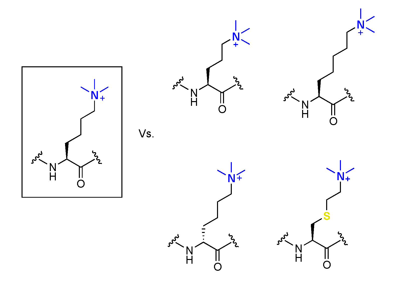 Ijms 21 09451 g016 Ijms 21 09451 g016