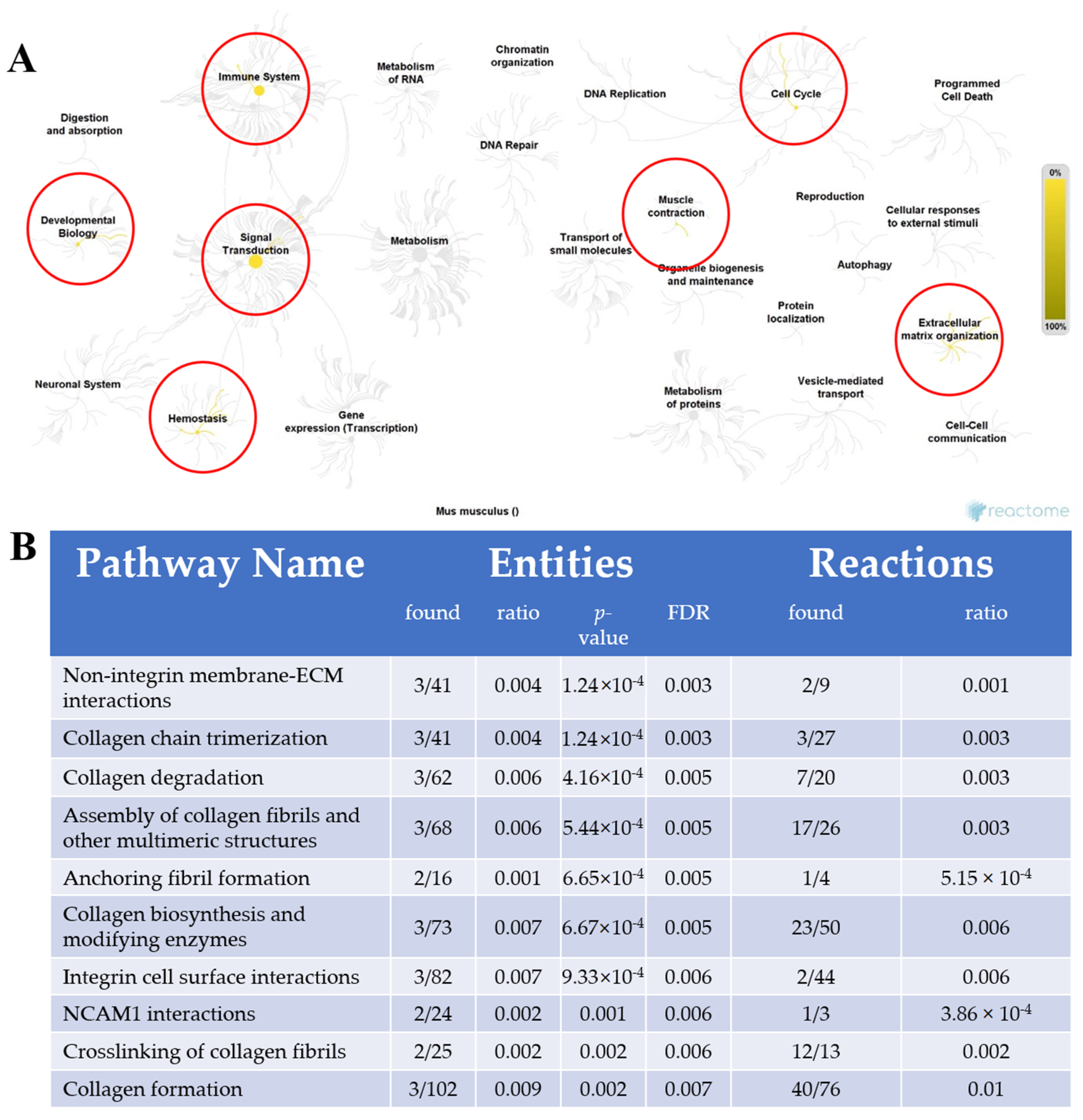 Ijms 21 09459 g005 Ijms 21 09459 g005