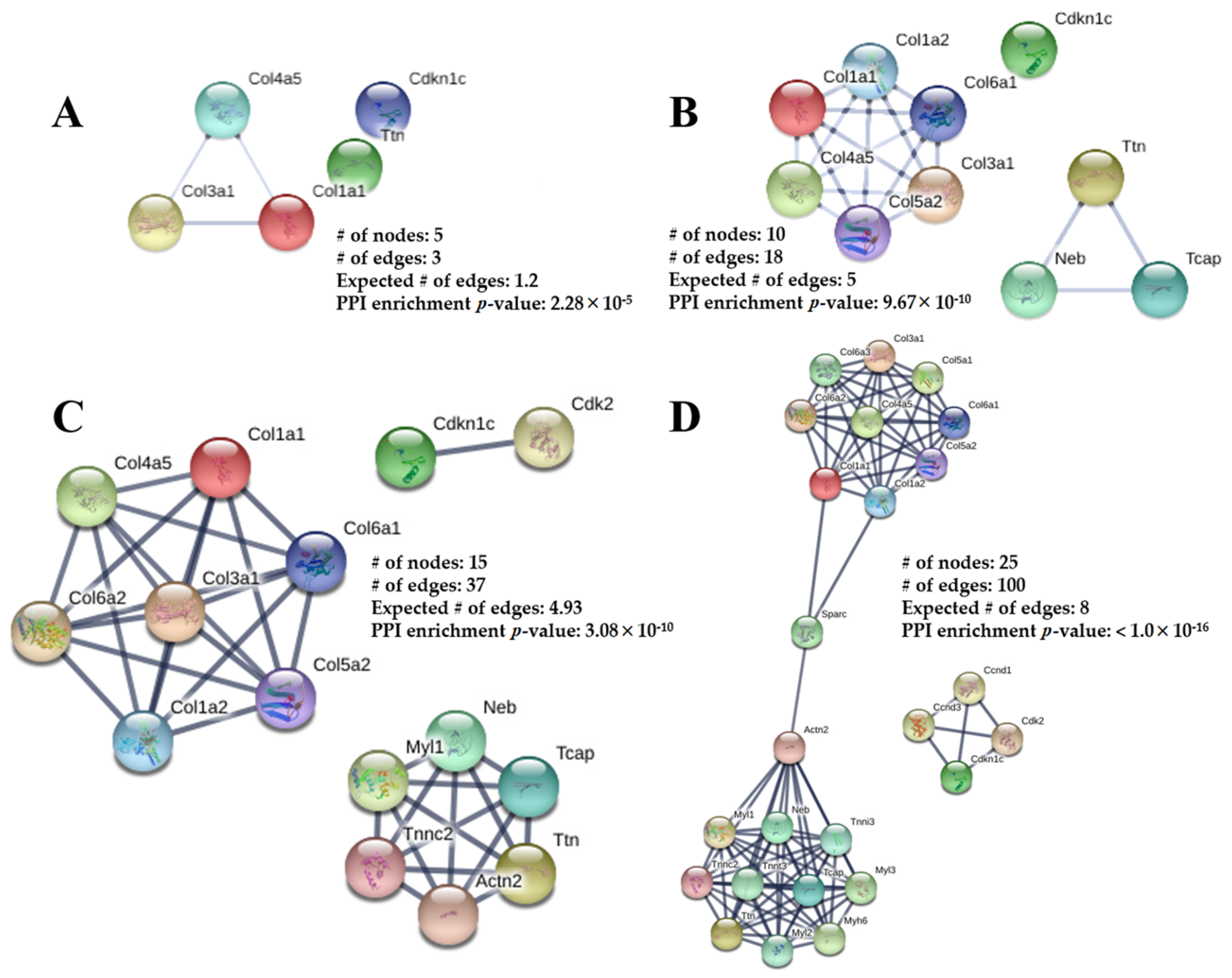 Ijms 21 09459 g006 Ijms 21 09459 g006