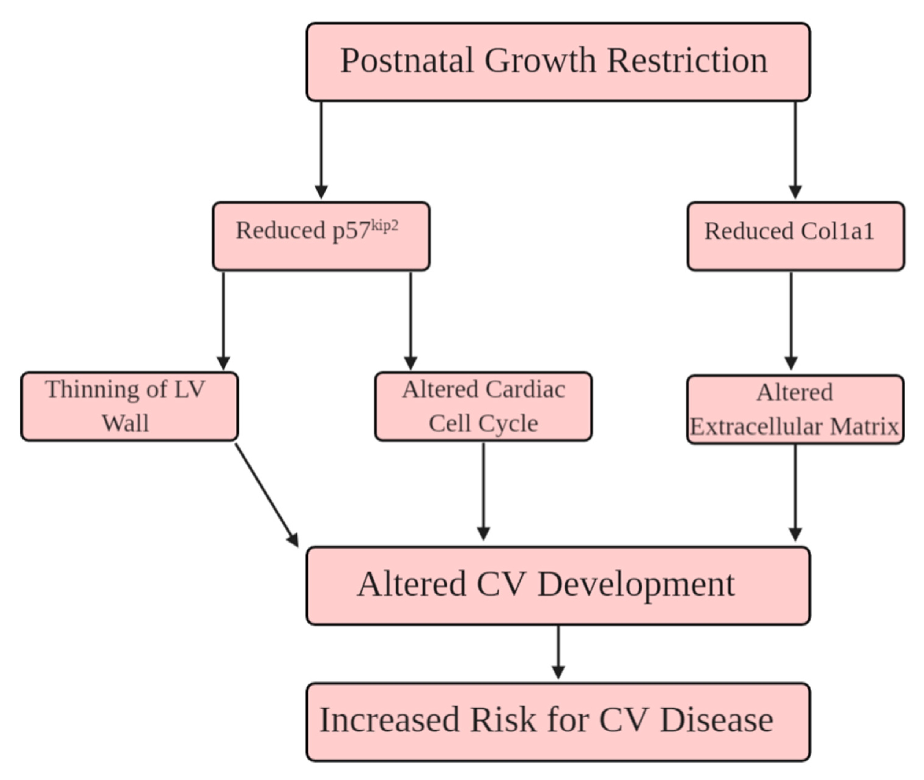 Ijms 21 09459 g007 Ijms 21 09459 g007