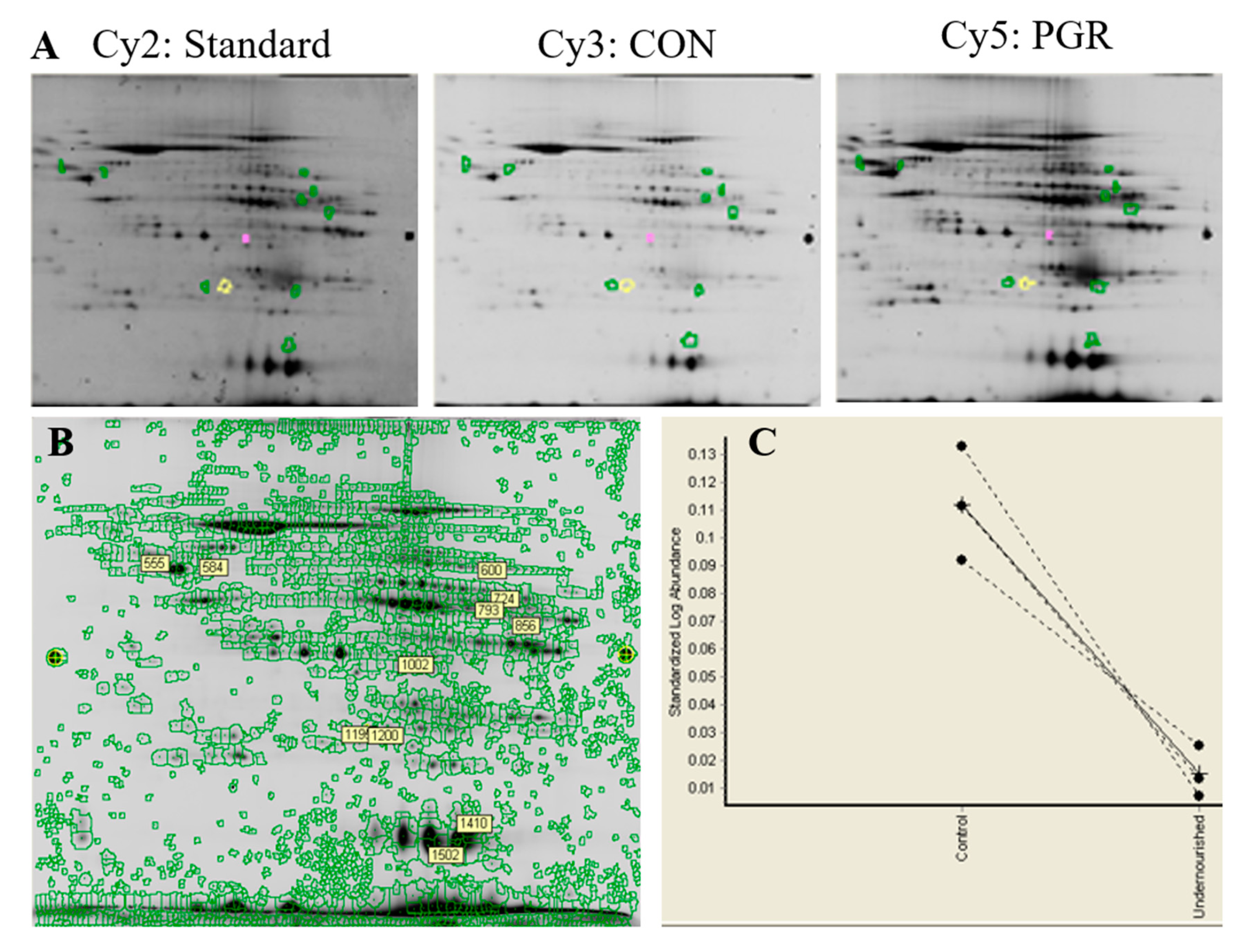 Ijms 21 09459 g009 Ijms 21 09459 g009
