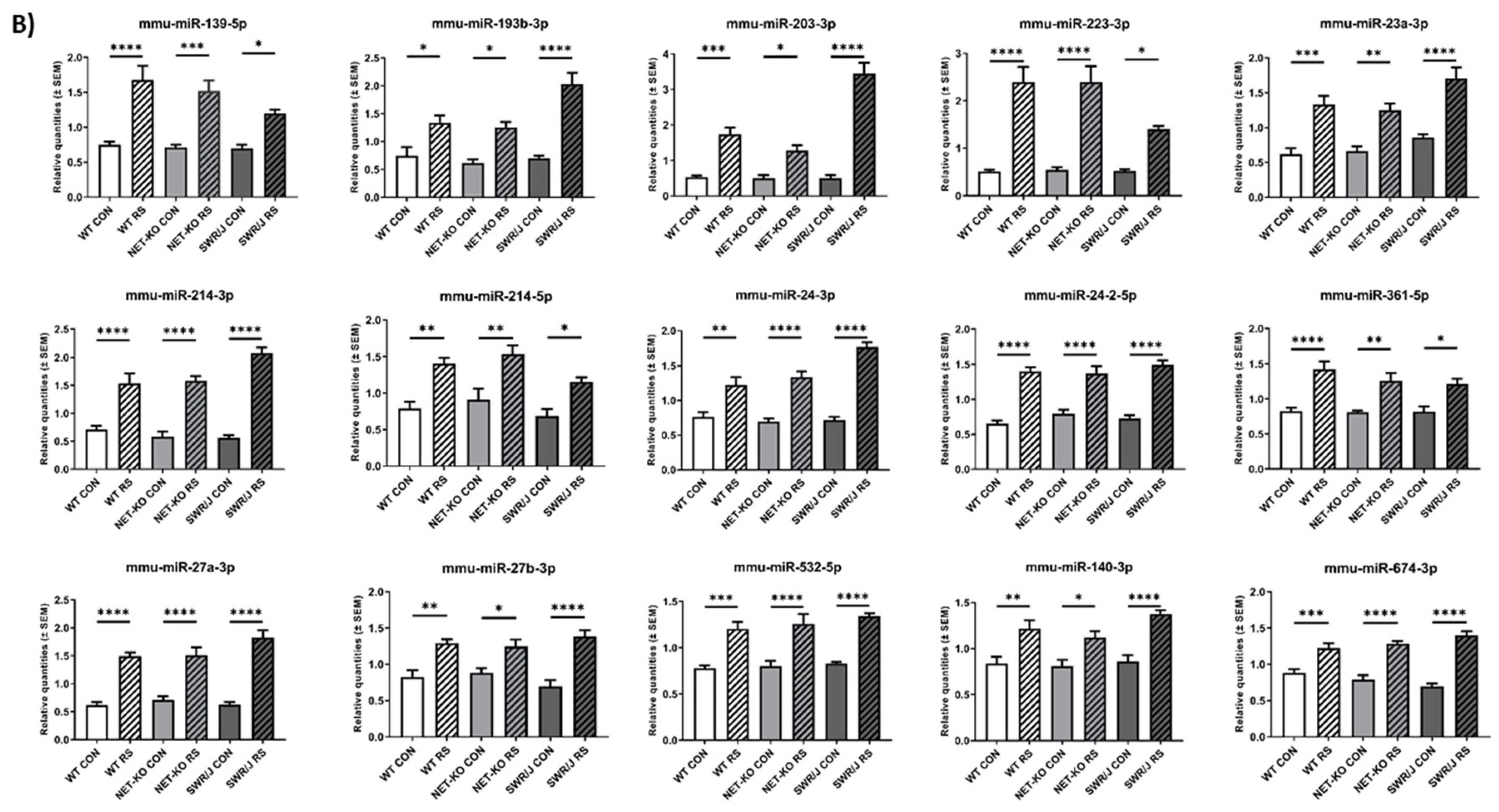 Ijms 21 09469 g001b Ijms 21 09469 g001b