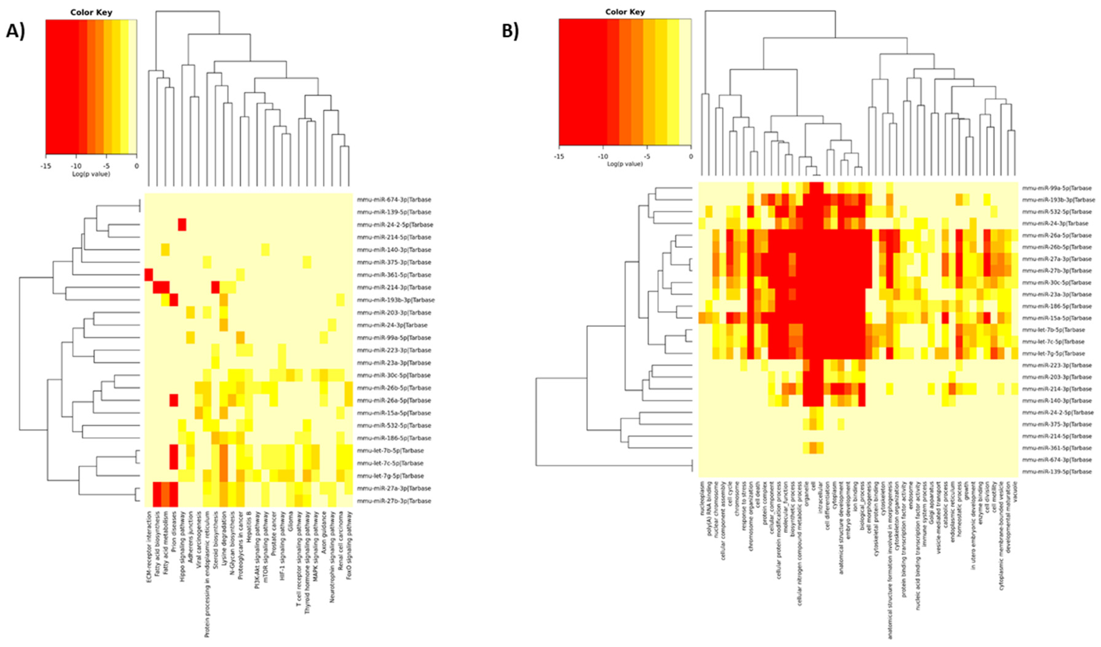 Ijms 21 09469 g002 Ijms 21 09469 g002