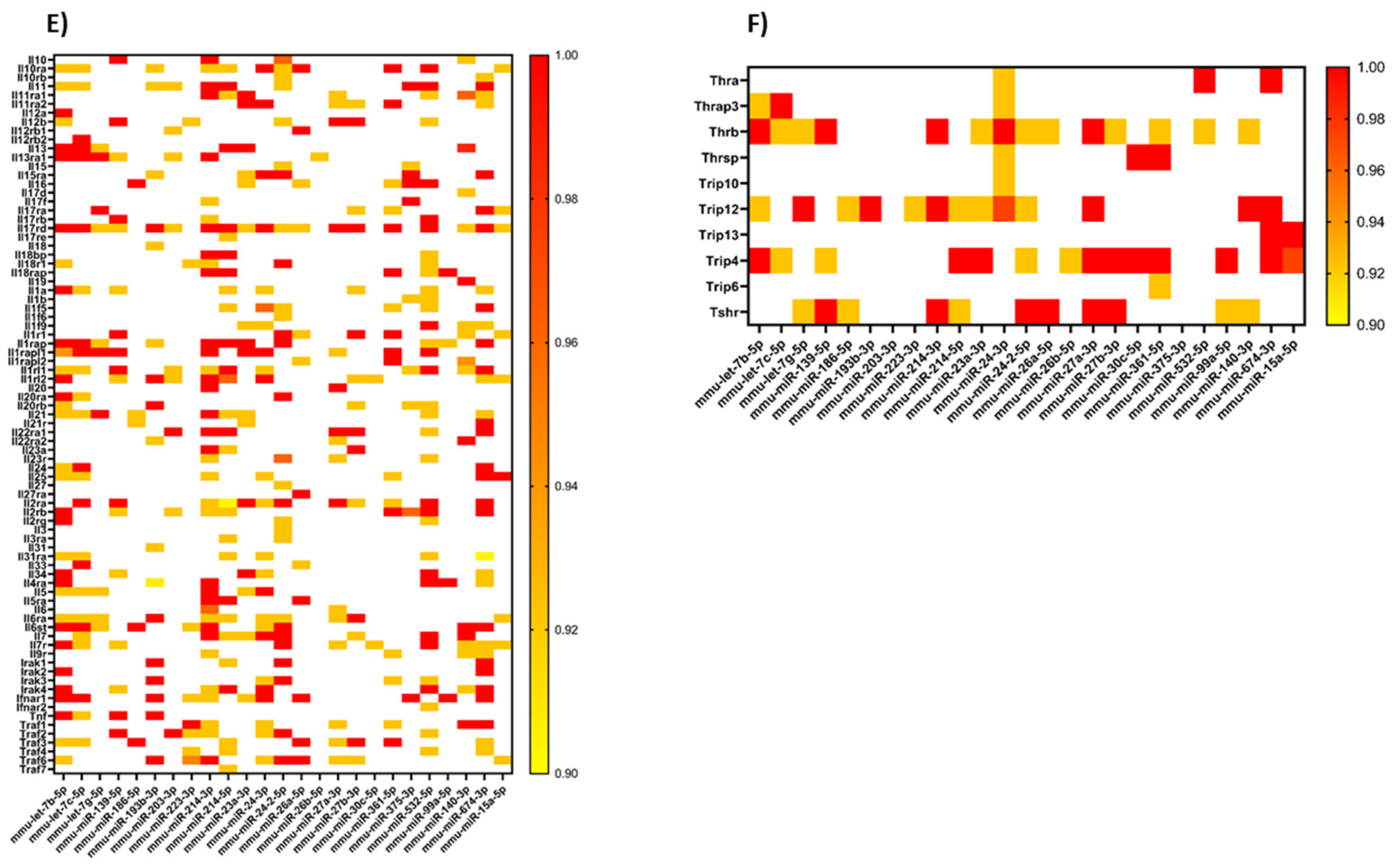 Ijms 21 09469 g003b Ijms 21 09469 g003b