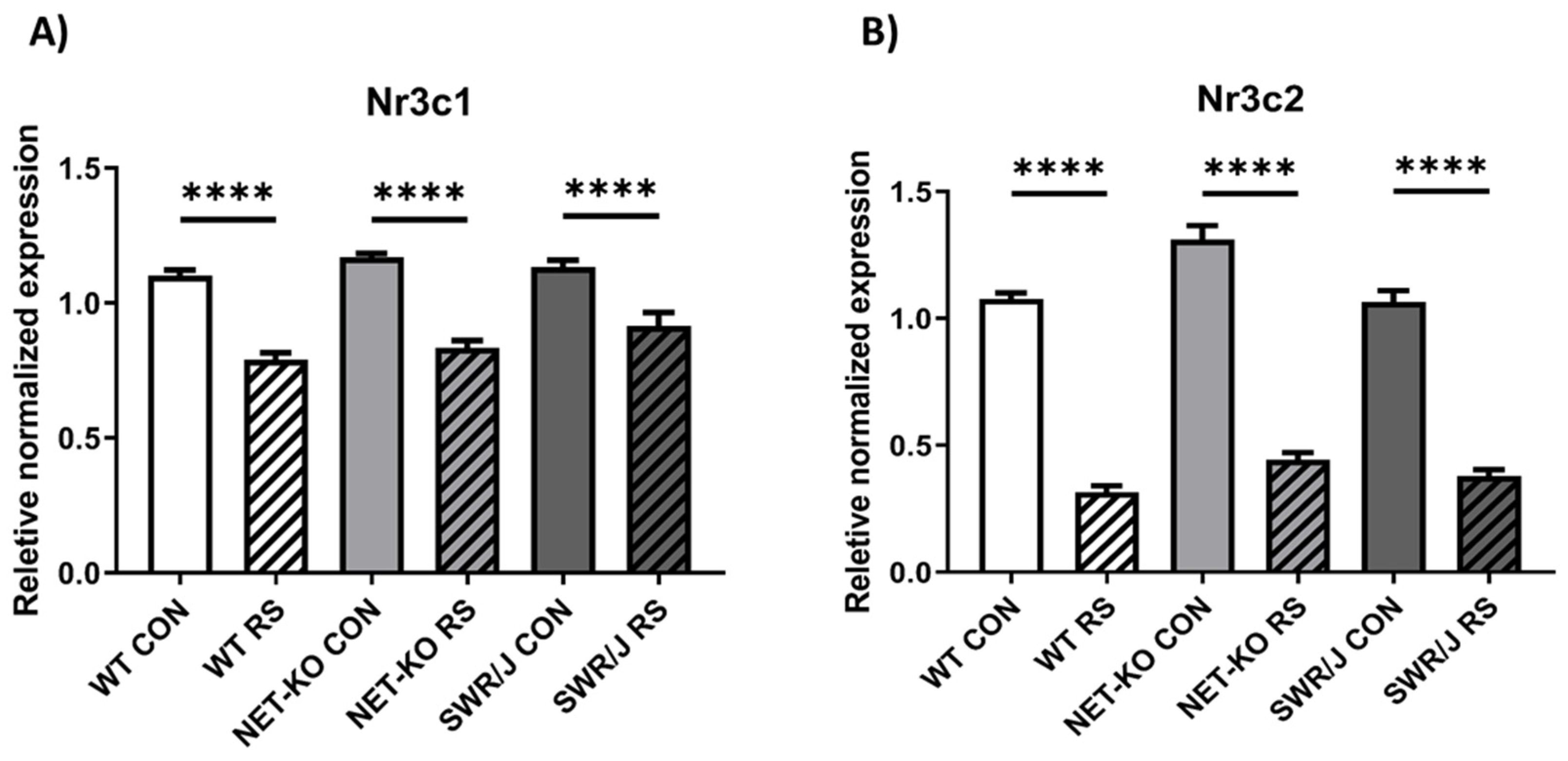 Ijms 21 09469 g004 Ijms 21 09469 g004