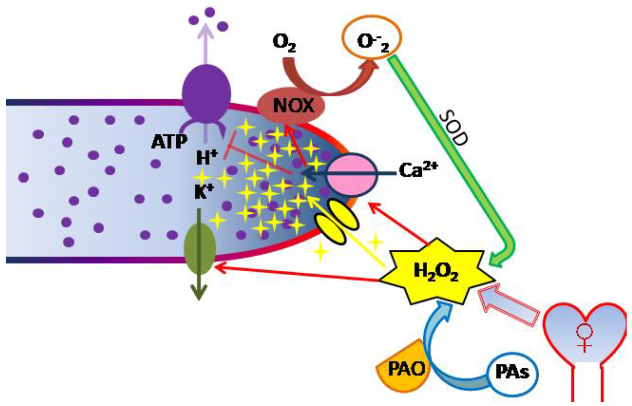 Ijms 21 09476 g001 Ijms 21 09476 g001