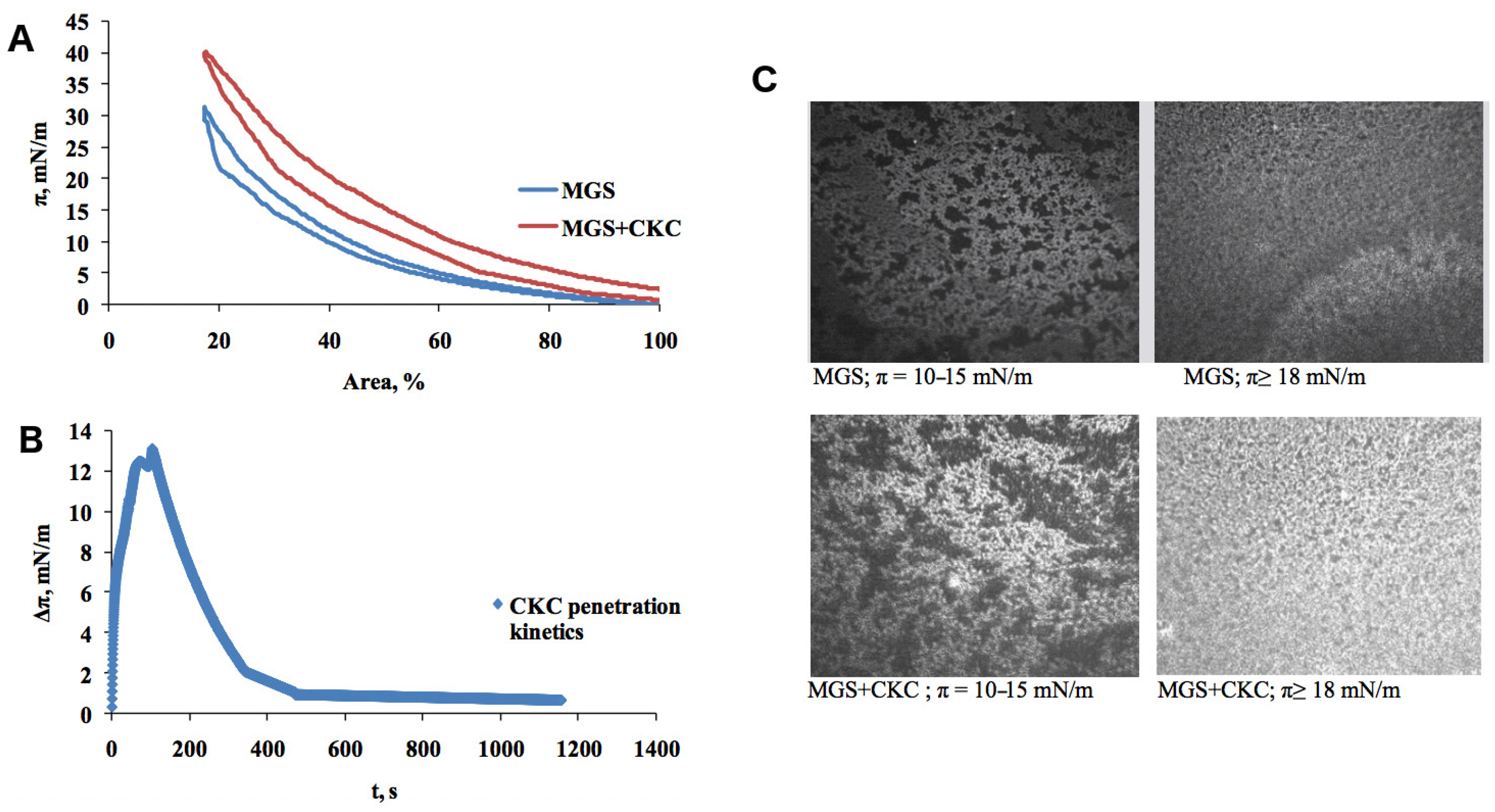 Ijms 21 09490 g001 Ijms 21 09490 g001