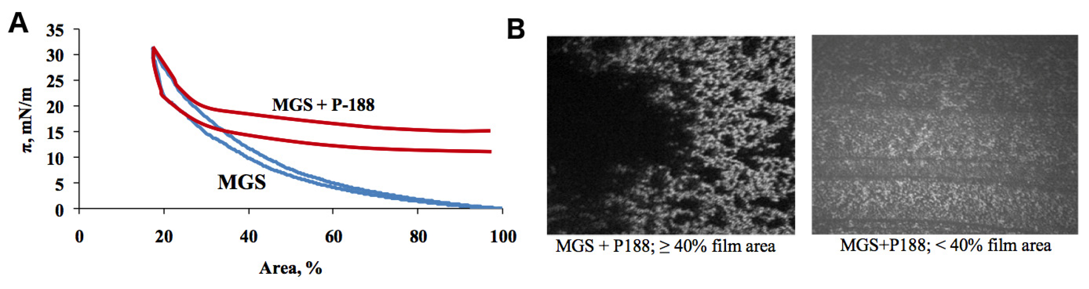 Ijms 21 09490 g003 Ijms 21 09490 g003