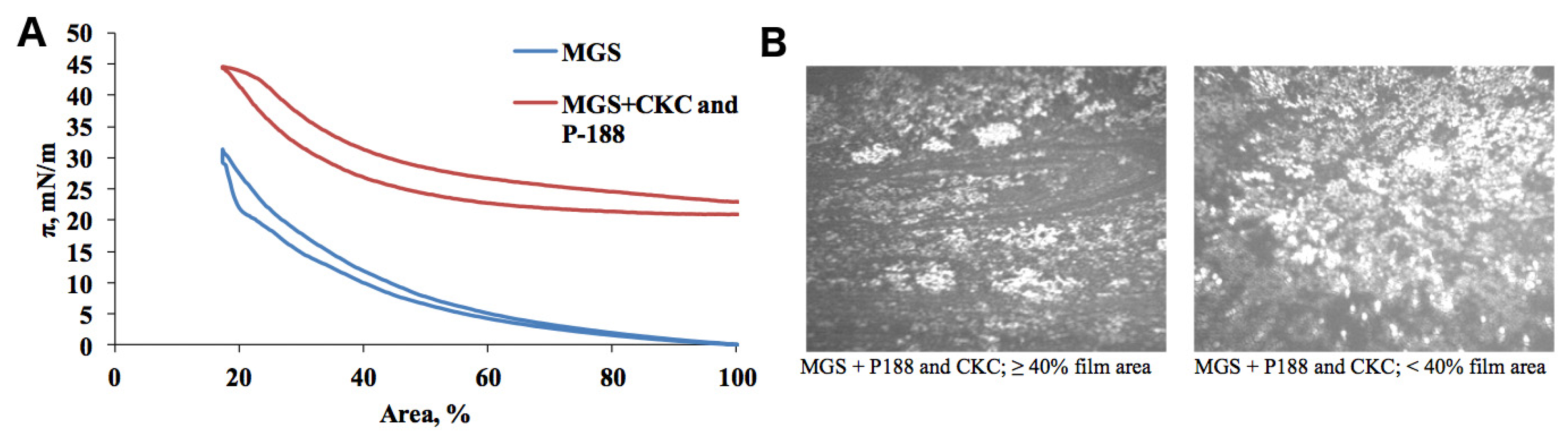 Ijms 21 09490 g004 Ijms 21 09490 g004