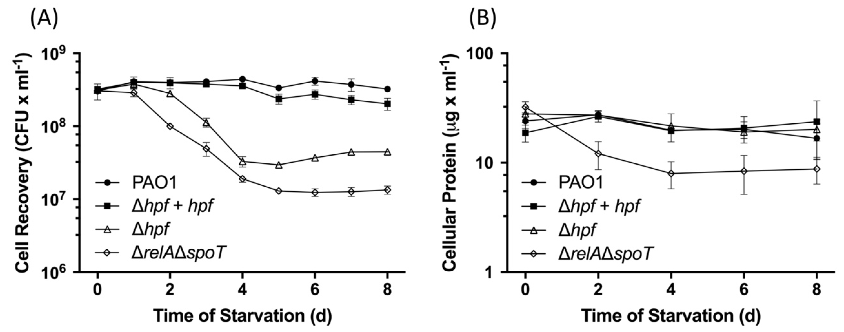 Ijms 21 09494 g002 Ijms 21 09494 g002