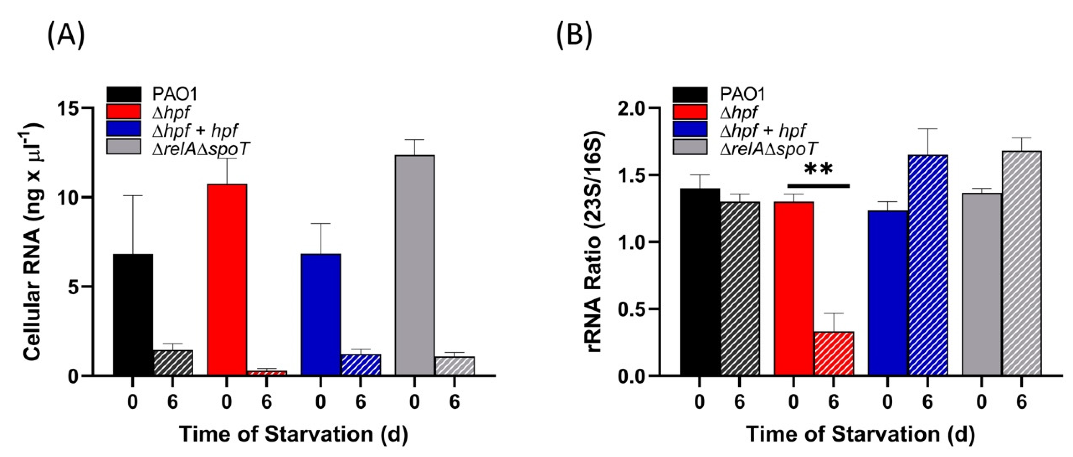 Ijms 21 09494 g004 Ijms 21 09494 g004