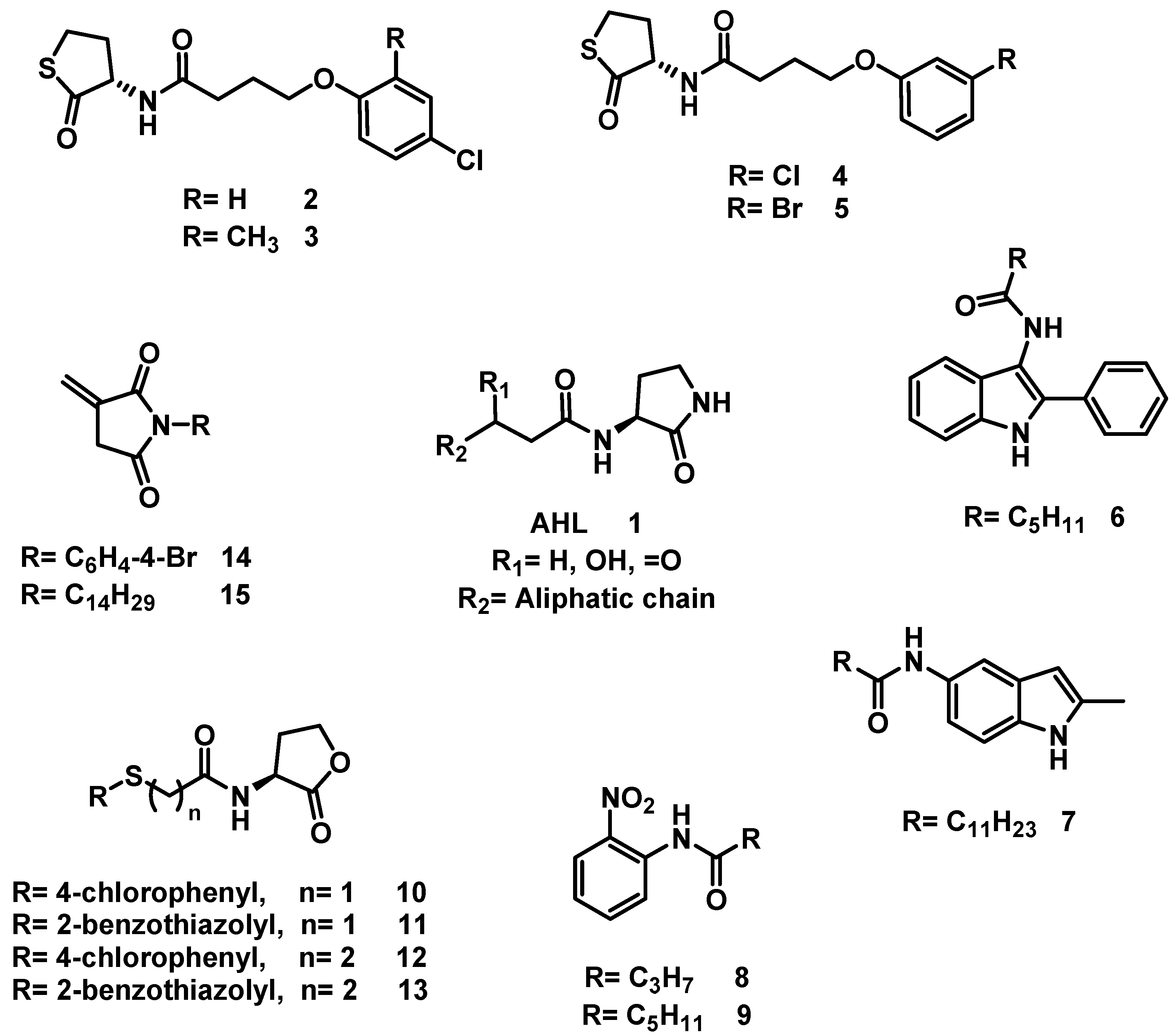 Ijms 21 09512 g001 Ijms 21 09512 g001