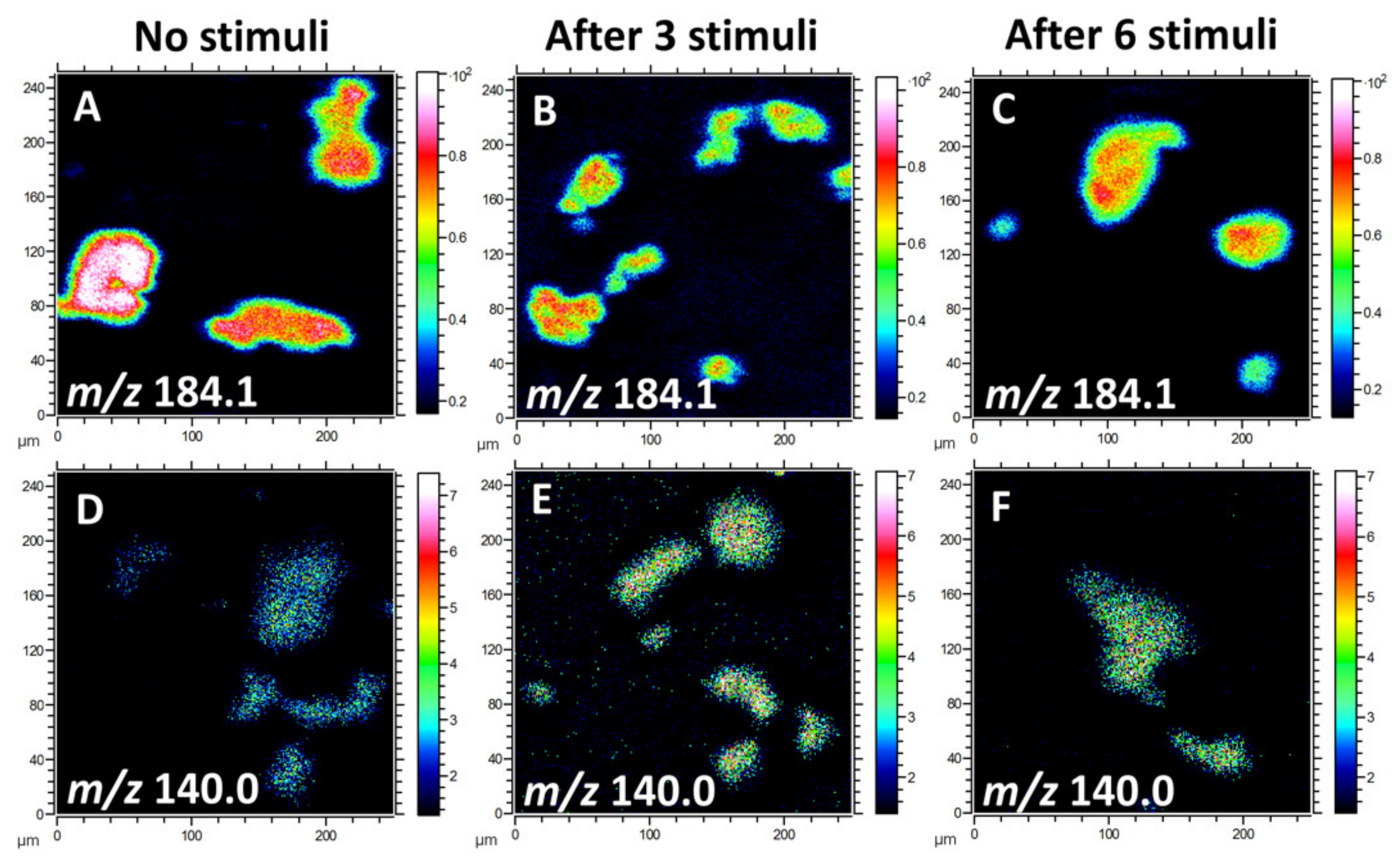 Ijms 21 09519 g001 Ijms 21 09519 g001