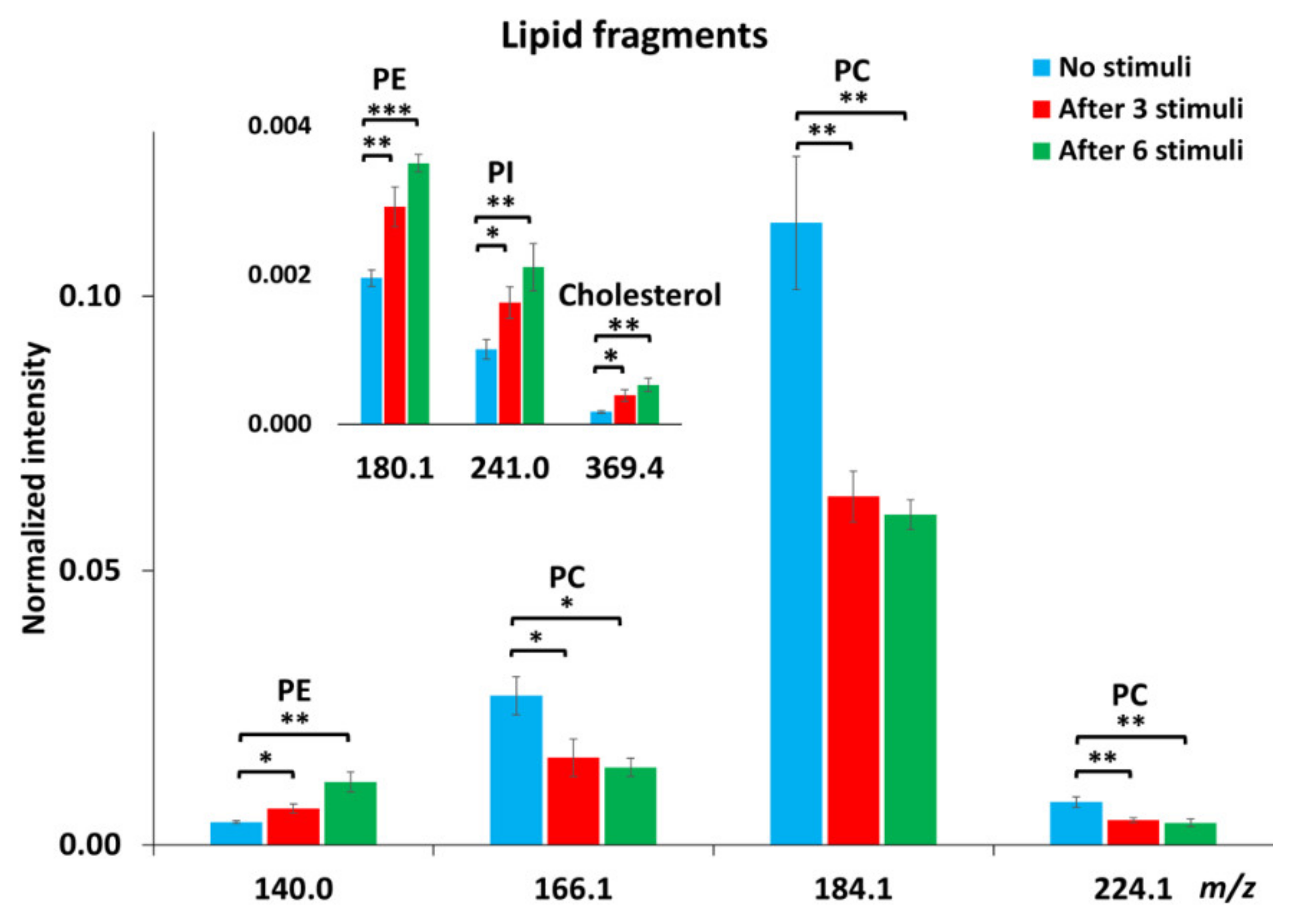 Ijms 21 09519 g002 Ijms 21 09519 g002