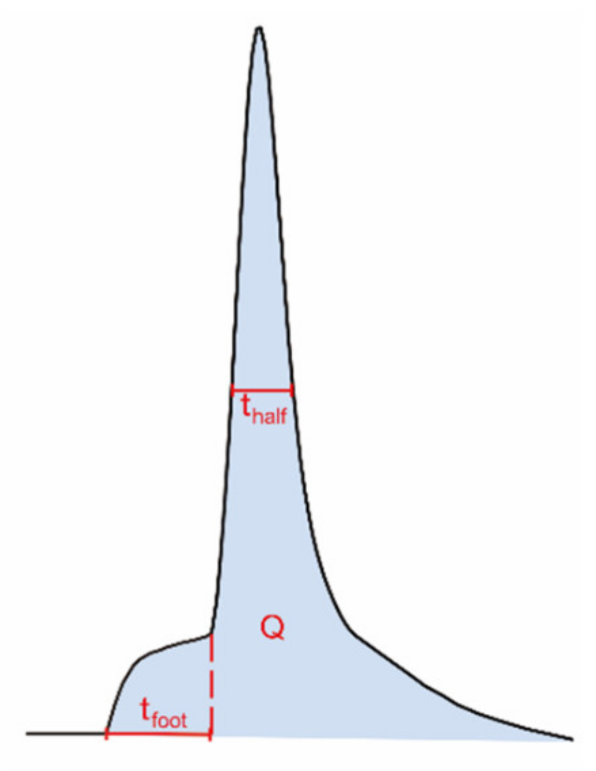 Ijms 21 09519 g003 Ijms 21 09519 g003