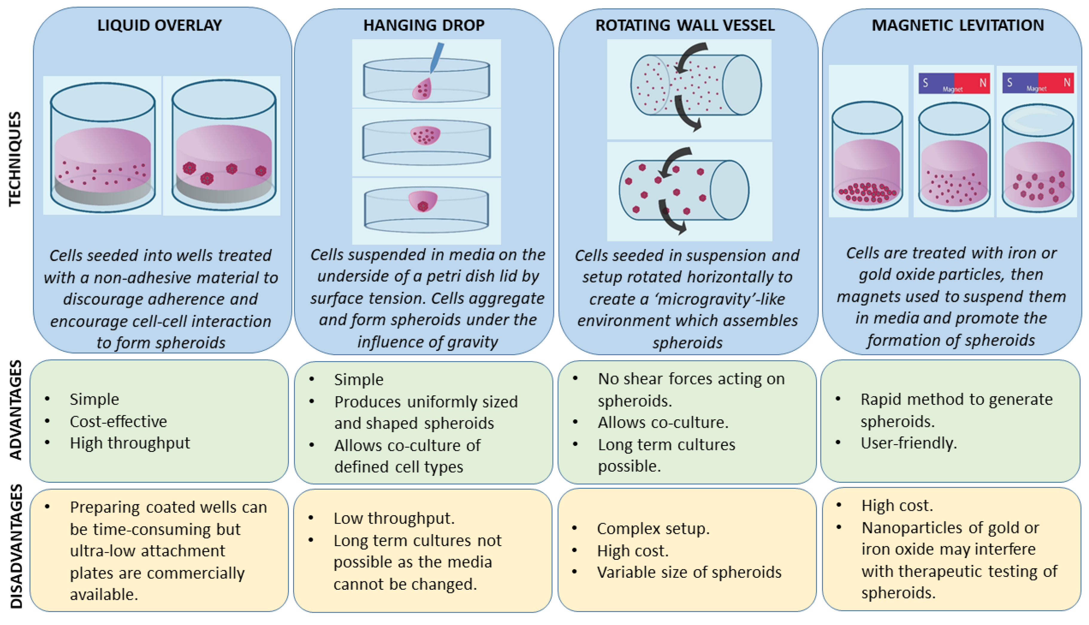 Ijms 21 09520 g001 Ijms 21 09520 g001
