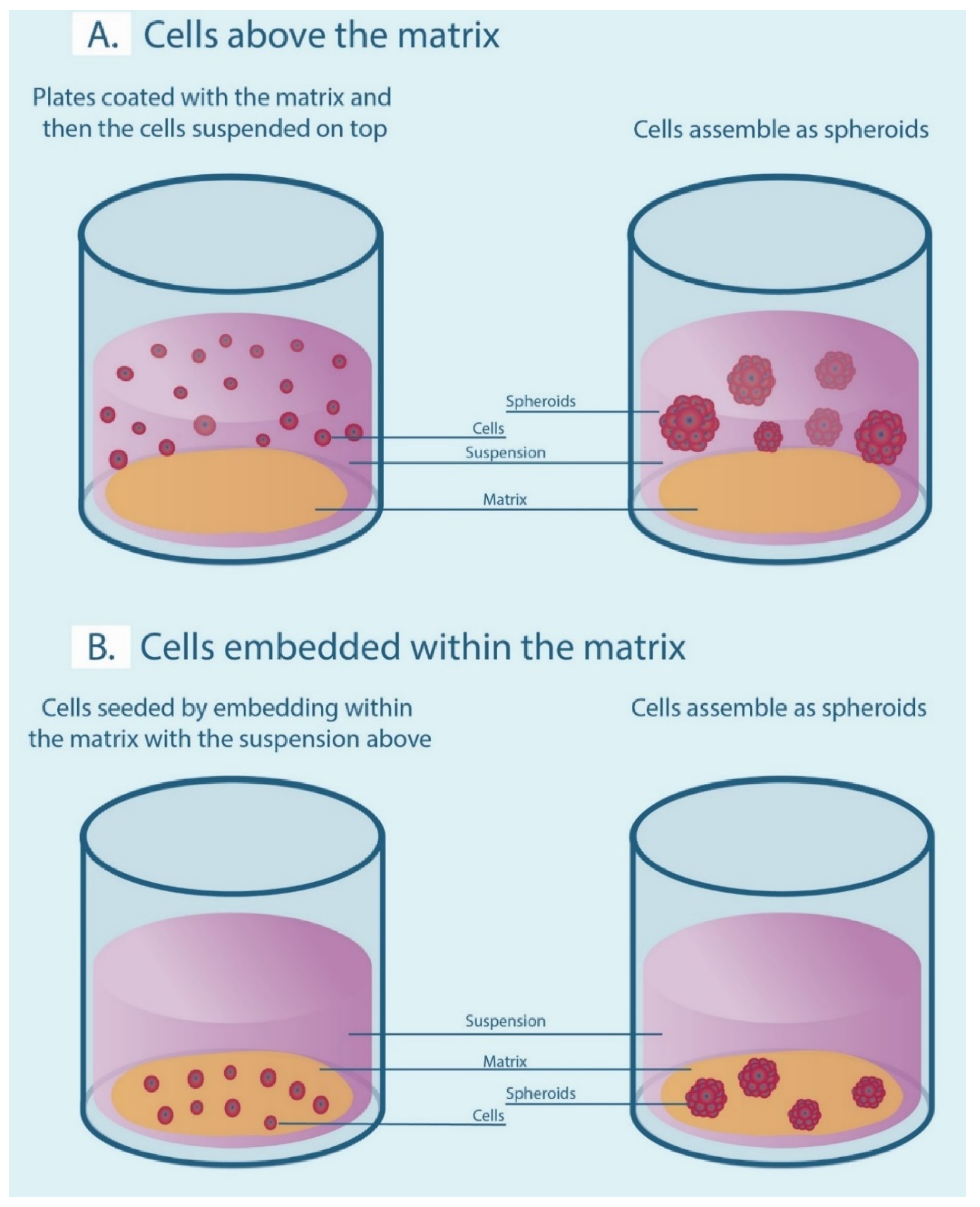 Ijms 21 09520 g002 Ijms 21 09520 g002