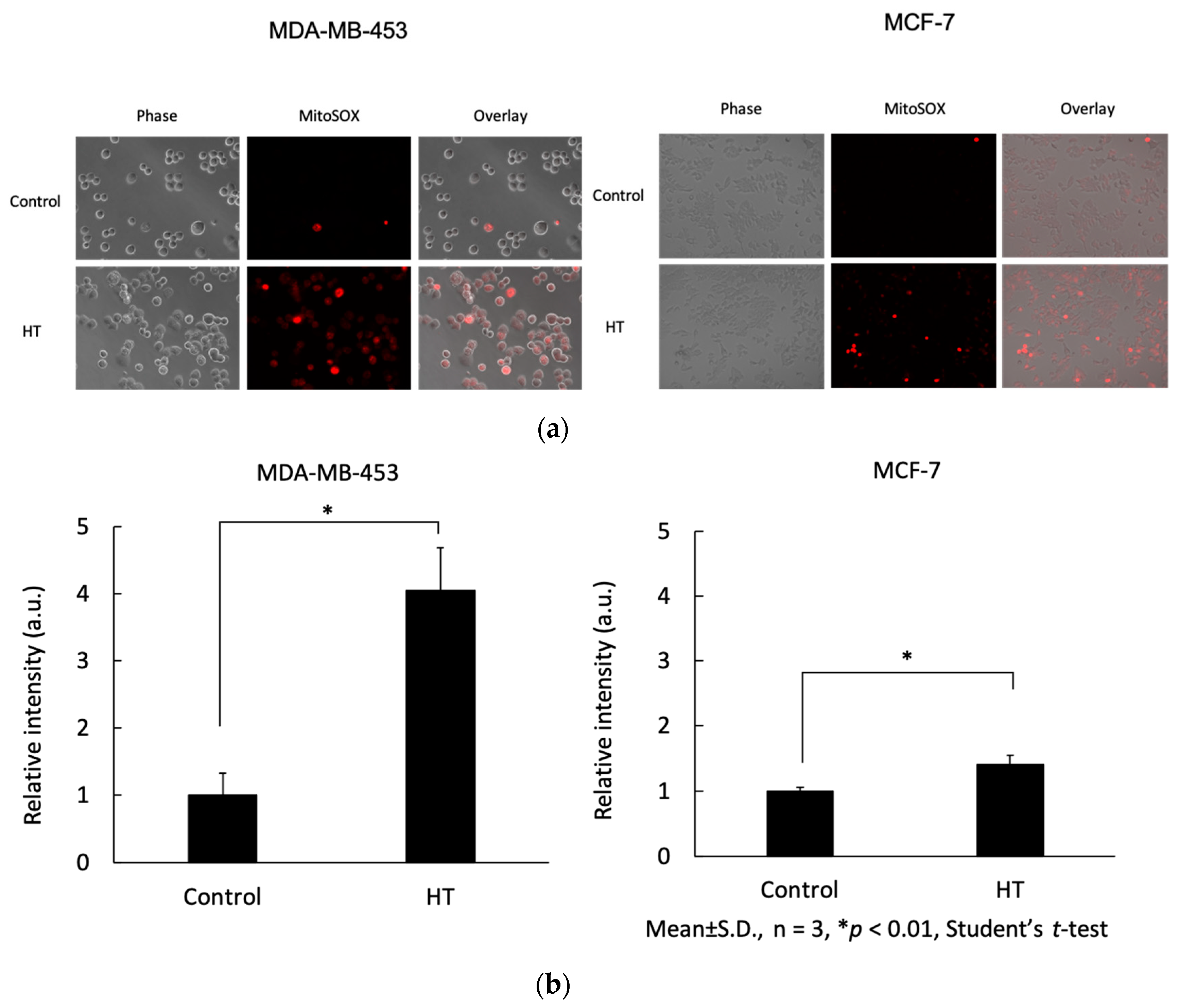 Ijms 21 09522 g003 Ijms 21 09522 g003