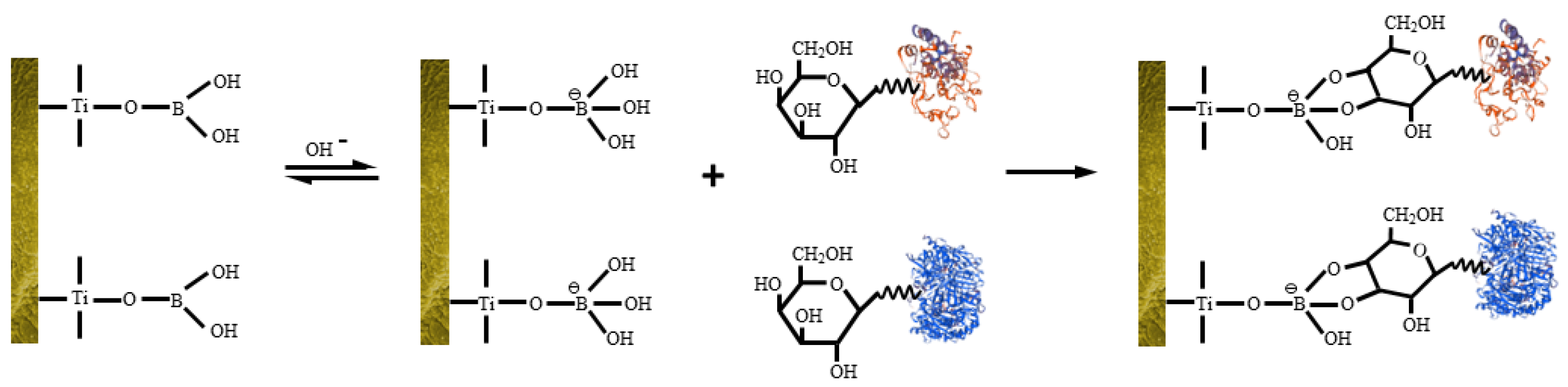 Ijms 21 09529 sch001