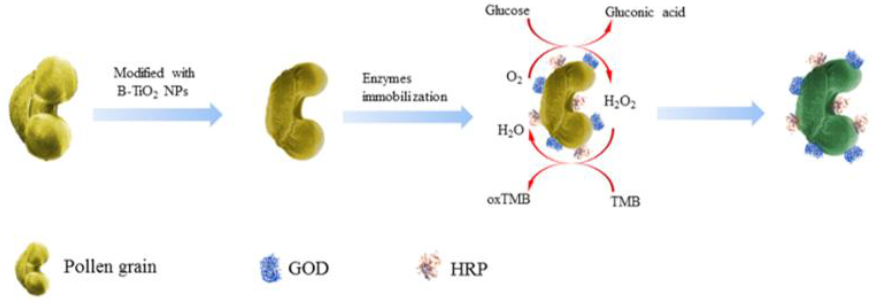 Ijms 21 09529 sch002