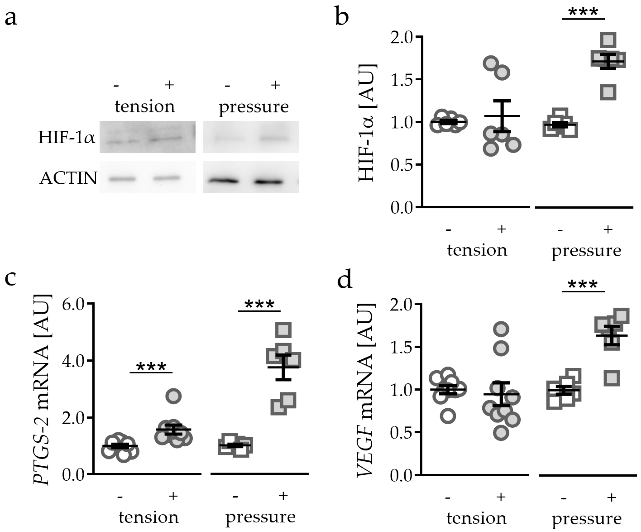Ijms 21 09530 g001 Ijms 21 09530 g001