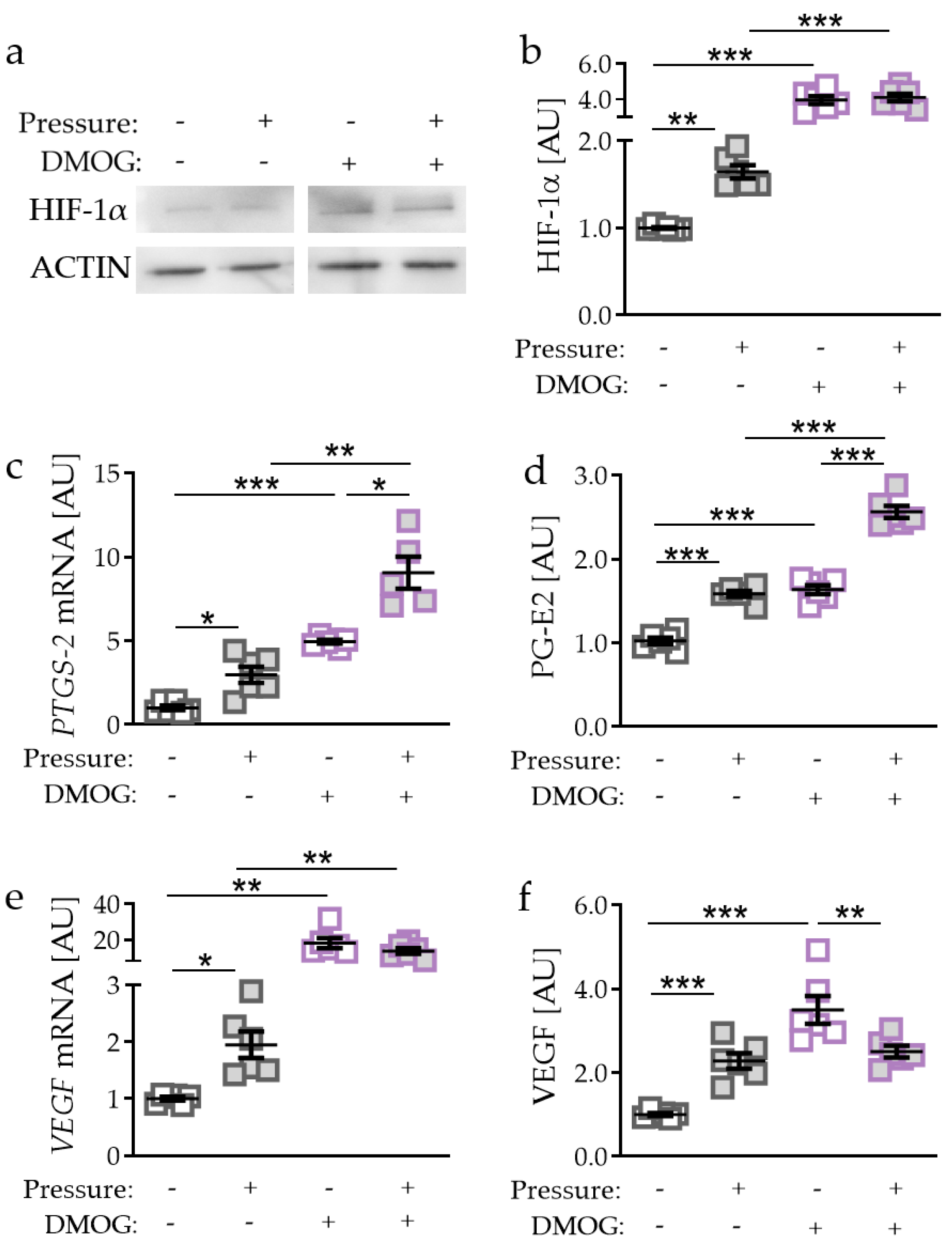 Ijms 21 09530 g002 Ijms 21 09530 g002