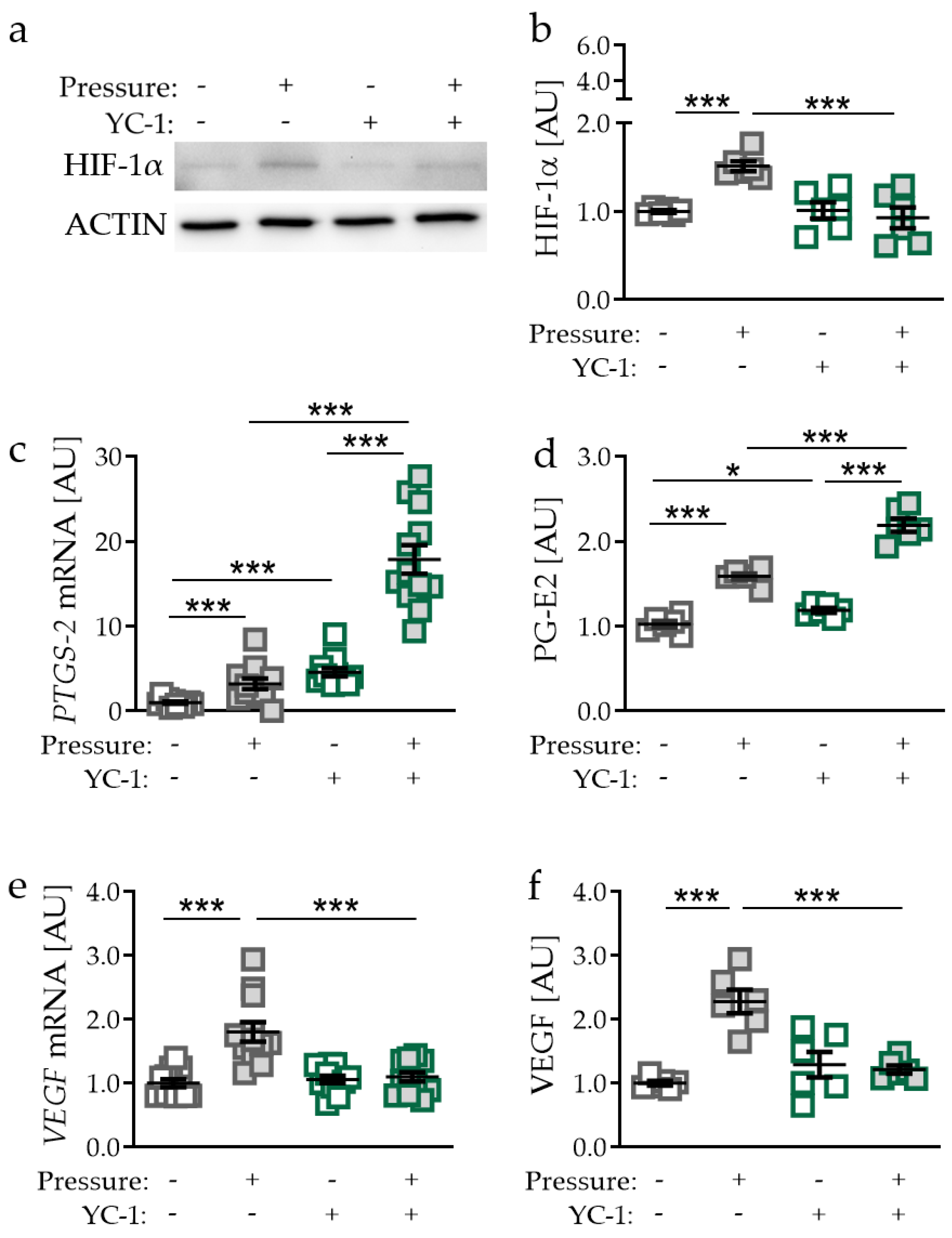 Ijms 21 09530 g003 Ijms 21 09530 g003