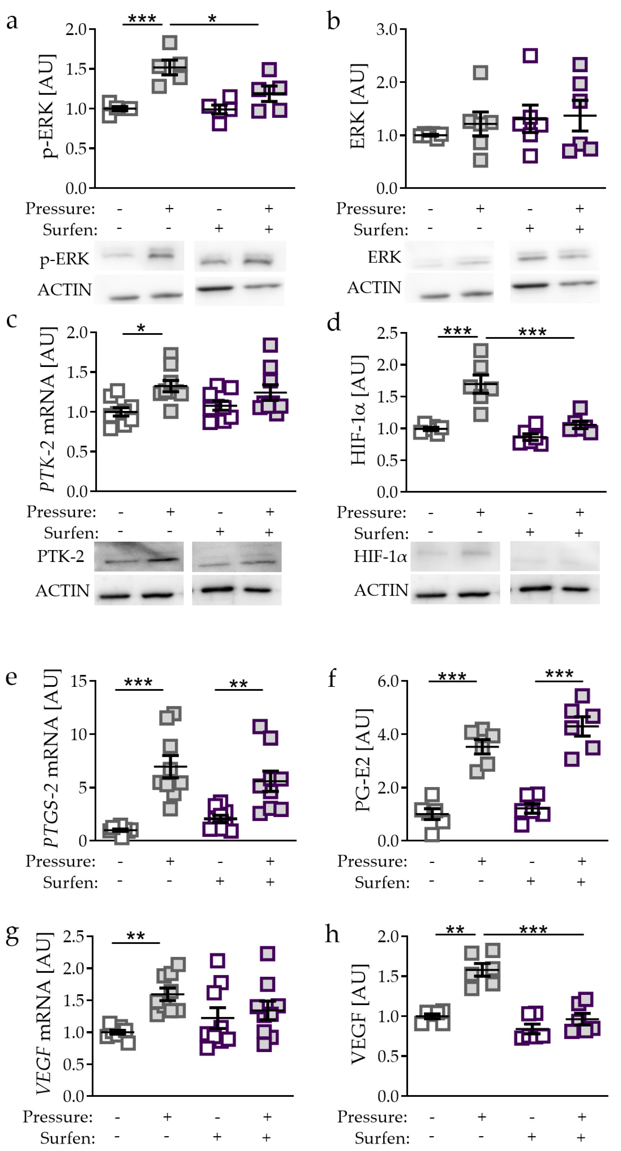 Ijms 21 09530 g004 Ijms 21 09530 g004
