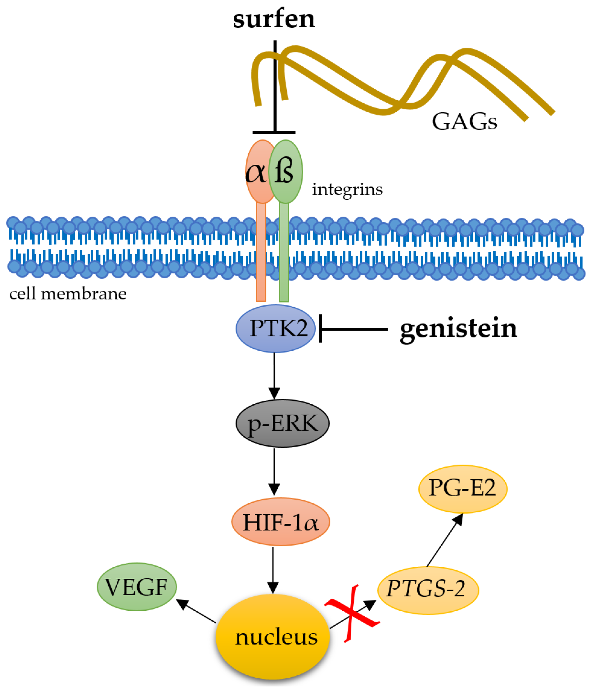 Ijms 21 09530 g006 Ijms 21 09530 g006