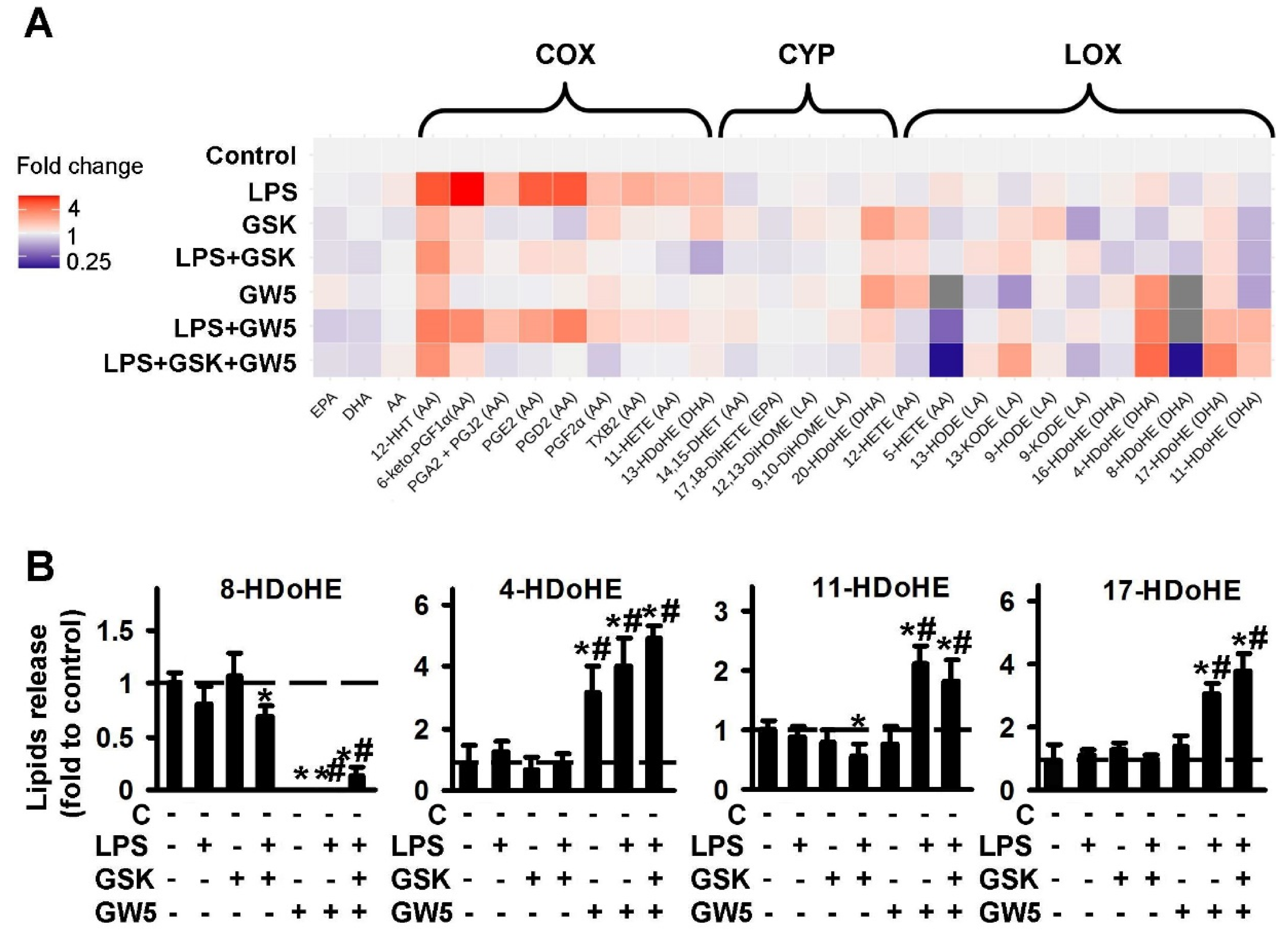Ijms 21 09577 g002 Ijms 21 09577 g002