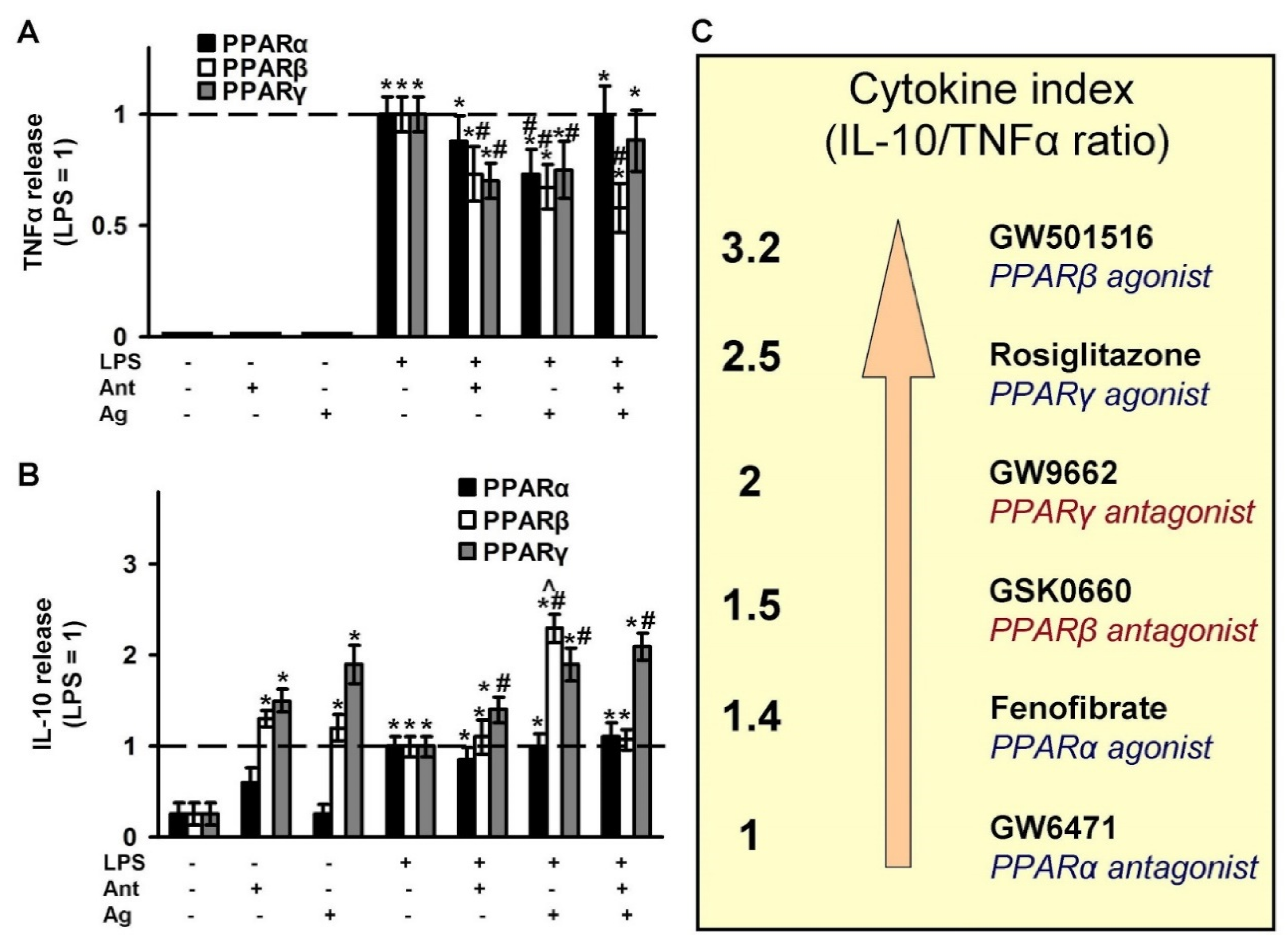 Ijms 21 09577 g006 Ijms 21 09577 g006