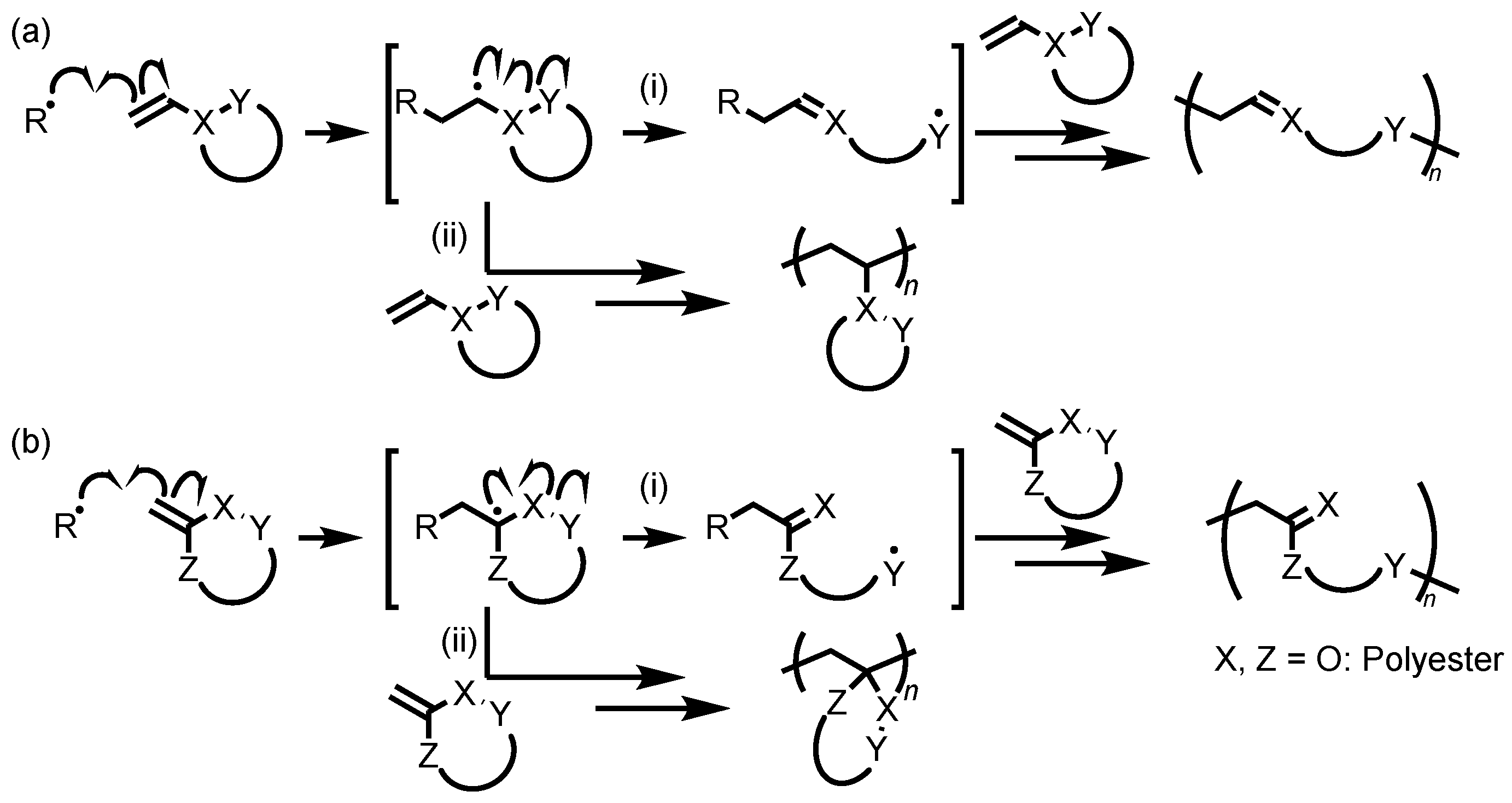 Ijms 21 09581 sch004
