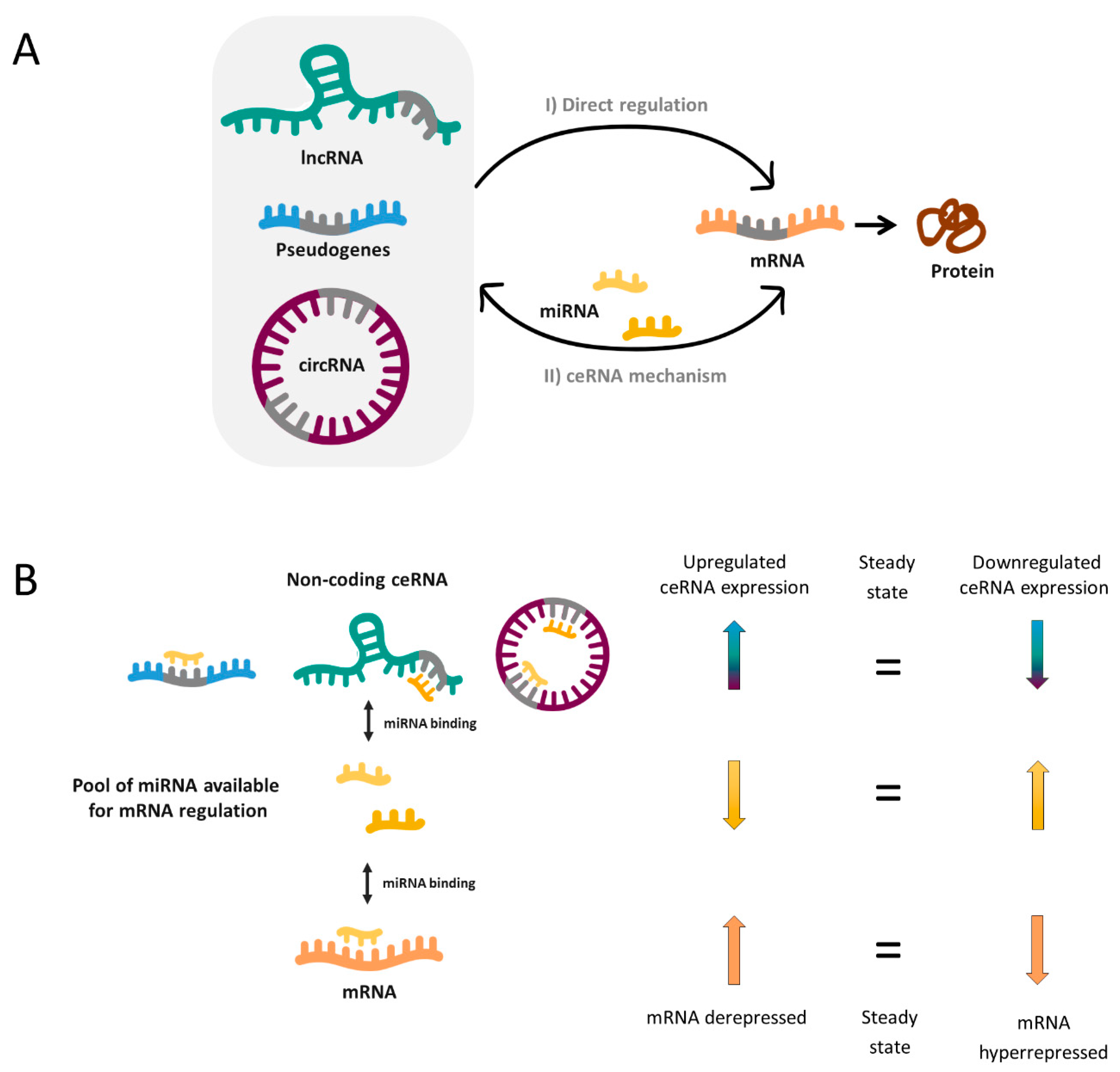 Ijms 21 09582 g001 Ijms 21 09582 g001