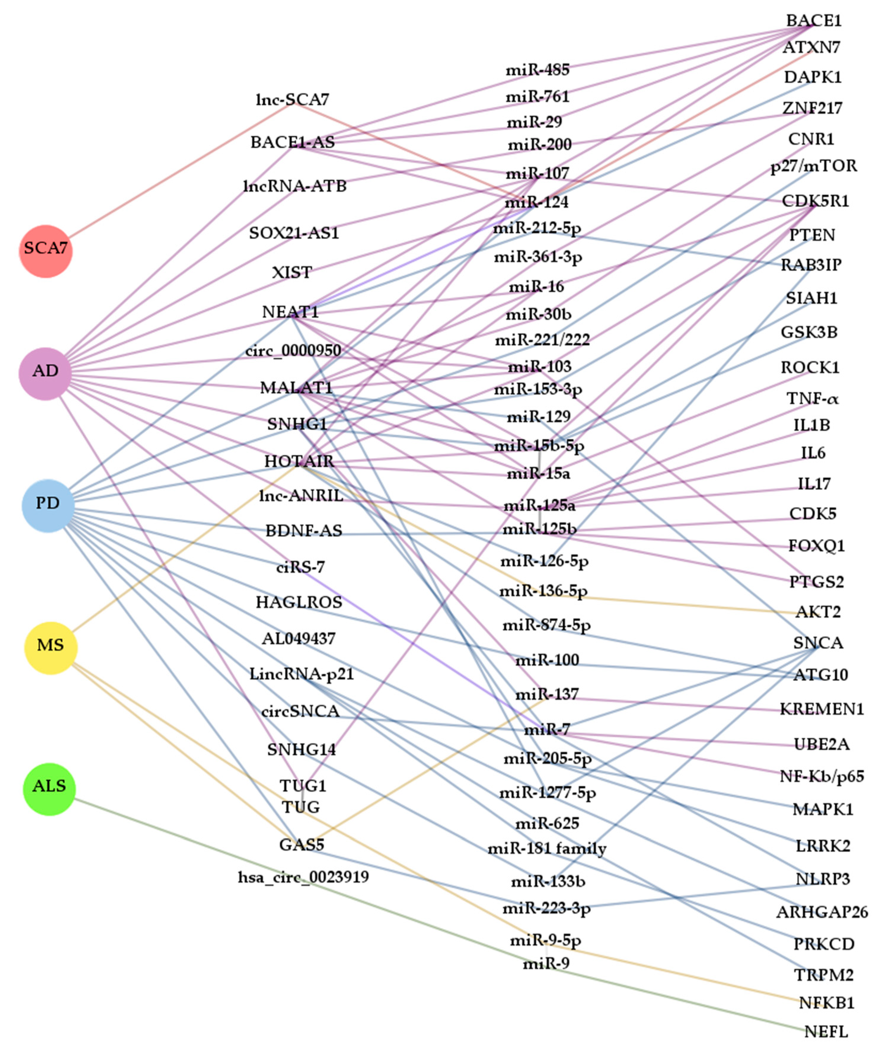 Ijms 21 09582 g003 Ijms 21 09582 g003