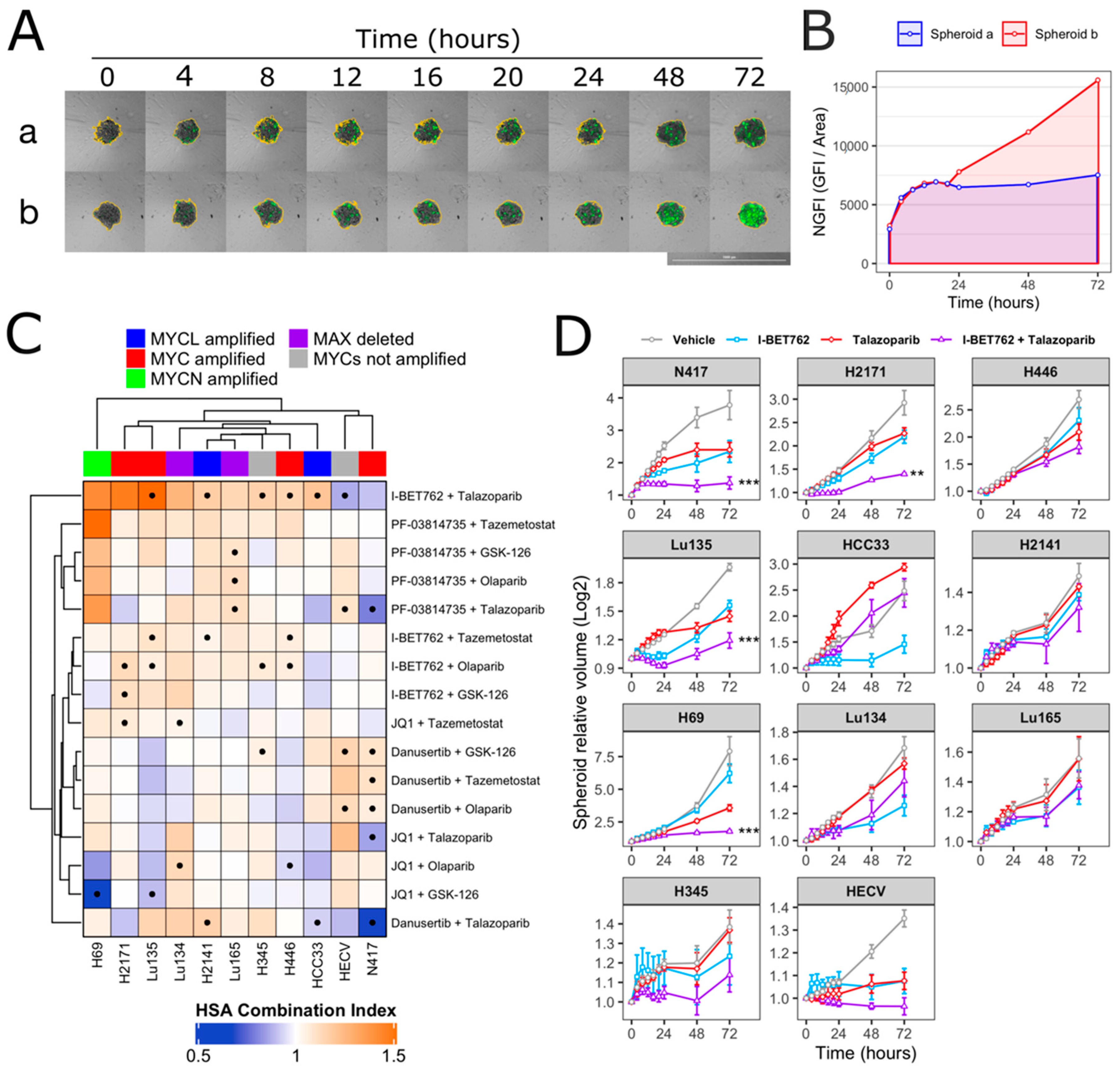 Ijms 21 09595 g001 Ijms 21 09595 g001