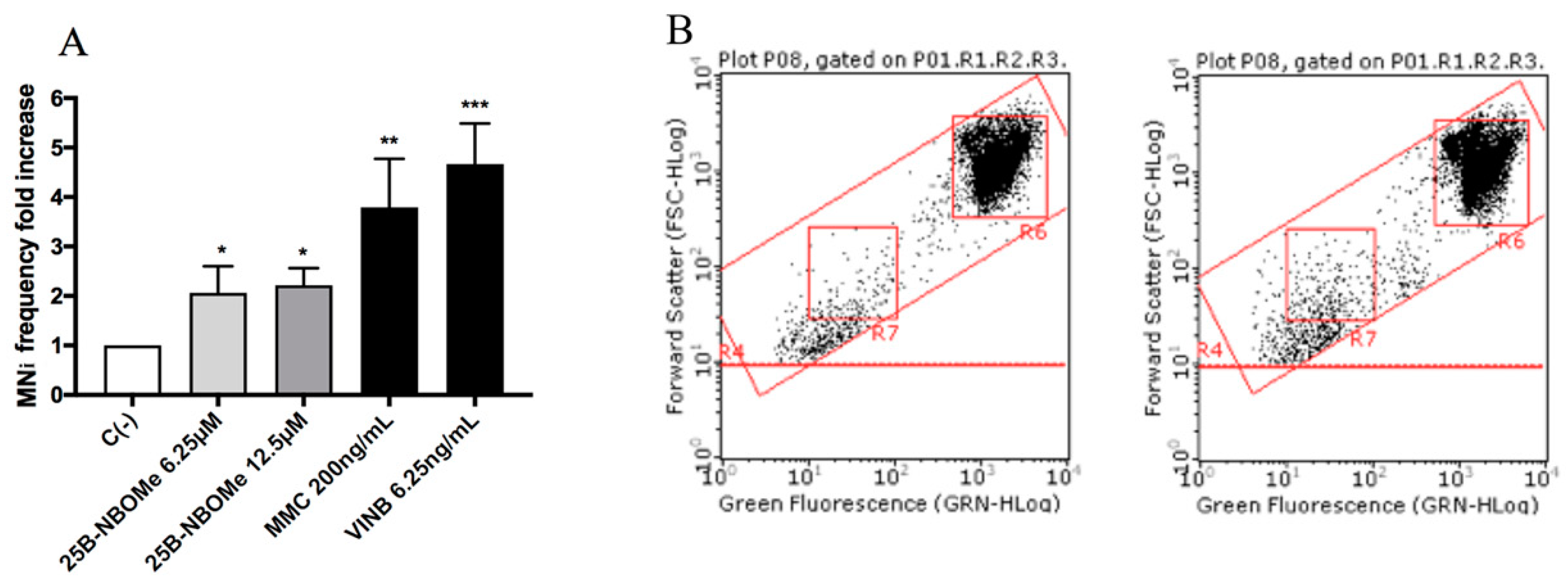 Ijms 21 09616 g007 Ijms 21 09616 g007
