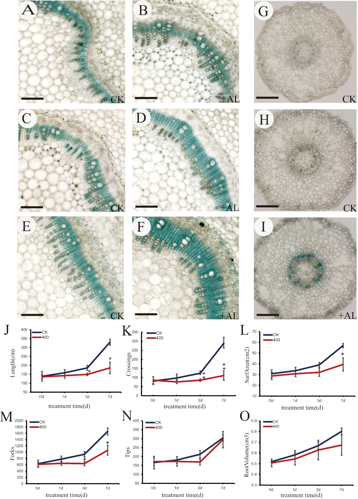Ijms 21 09624 g002 Ijms 21 09624 g002