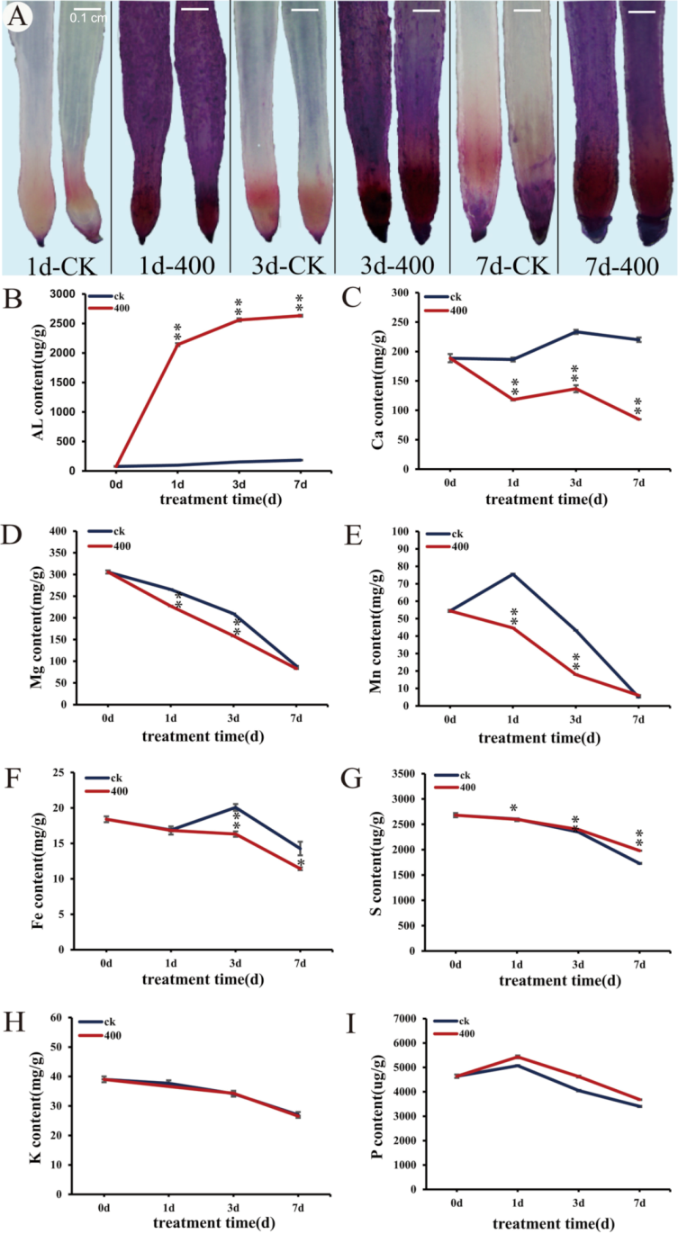 Ijms 21 09624 g003 Ijms 21 09624 g003